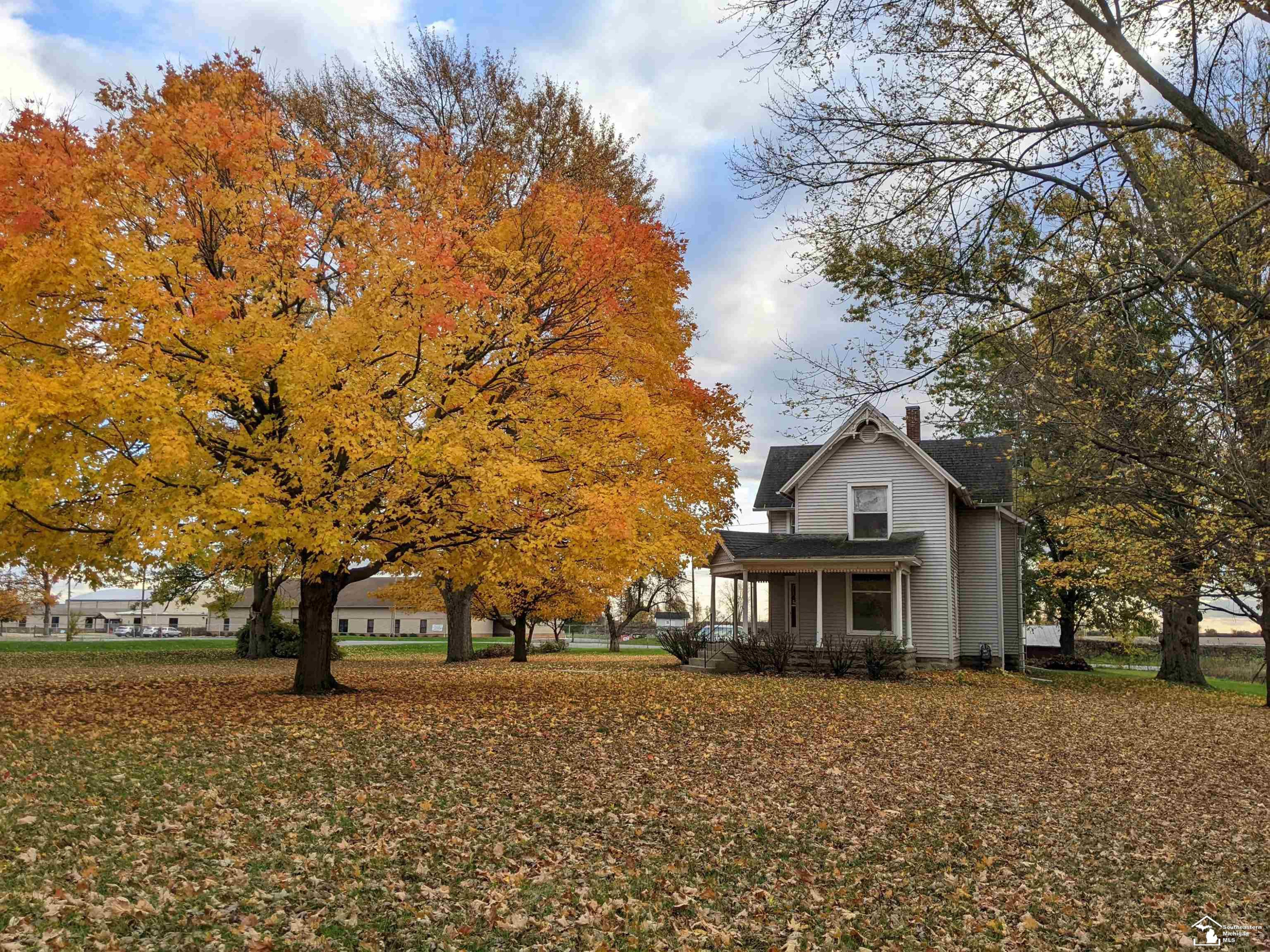 359 W Chicago Boulevard, Britton, MI 49229 — Photo 53