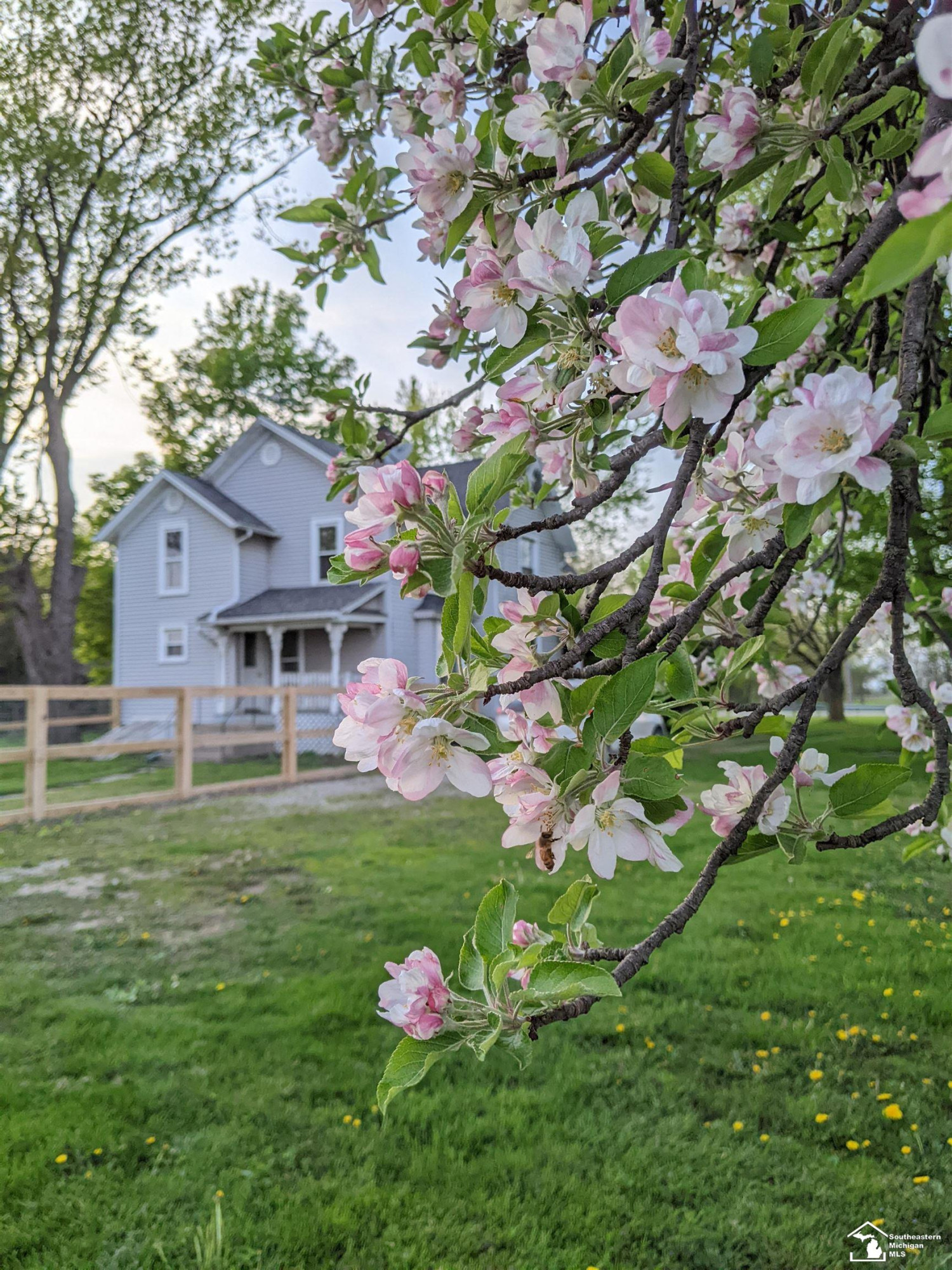 359 W Chicago Boulevard, Britton, MI 49229 — Photo 55