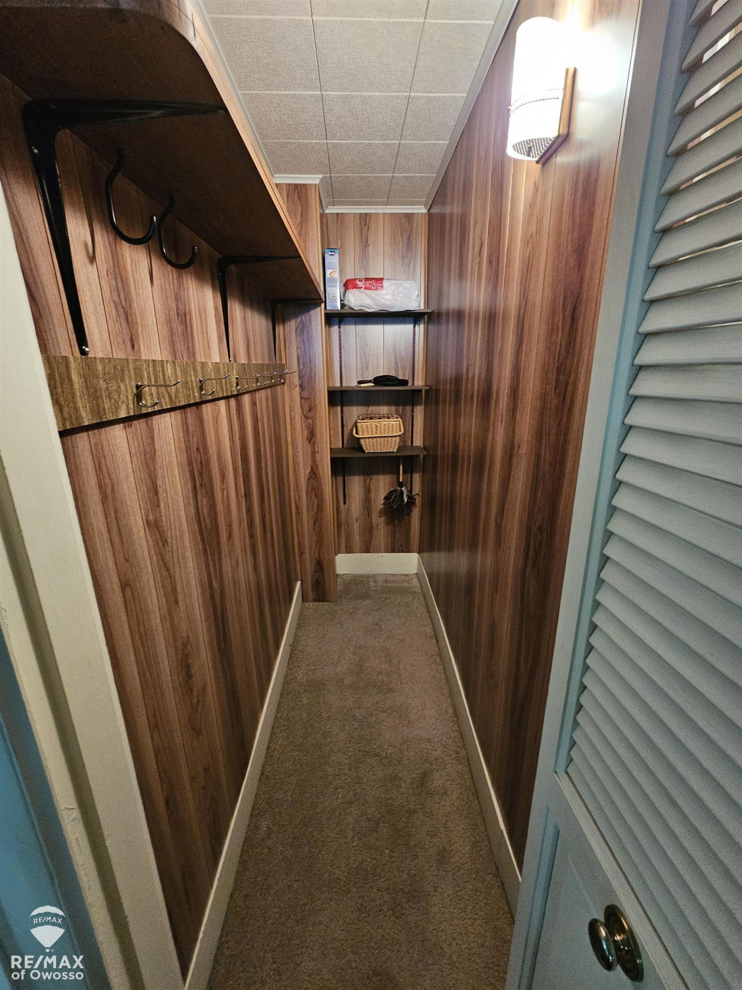 201 Clinton Street, Ovid, MI 48866 — Photo 9