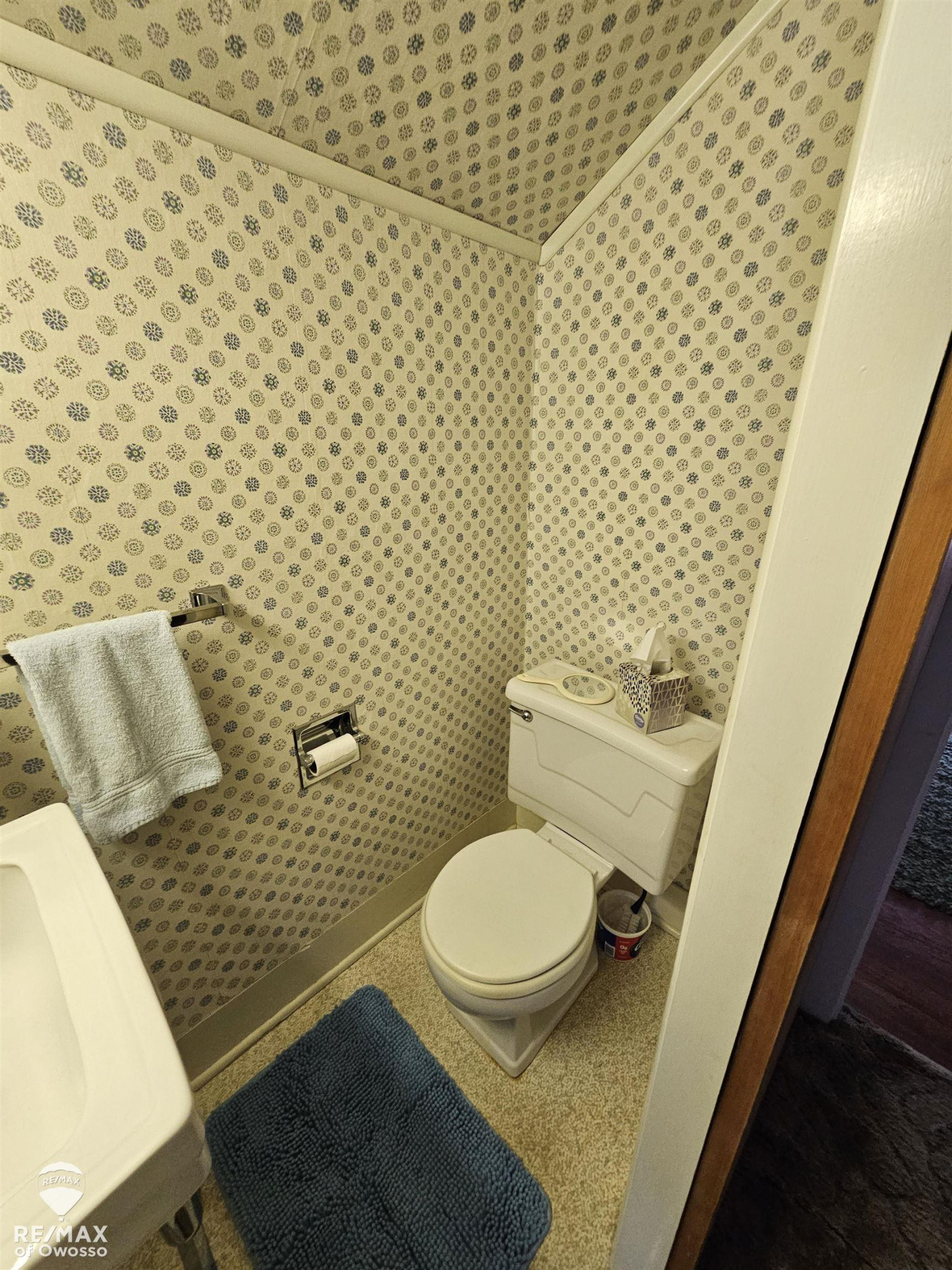 201 Clinton Street, Ovid, MI 48866 — Photo 14