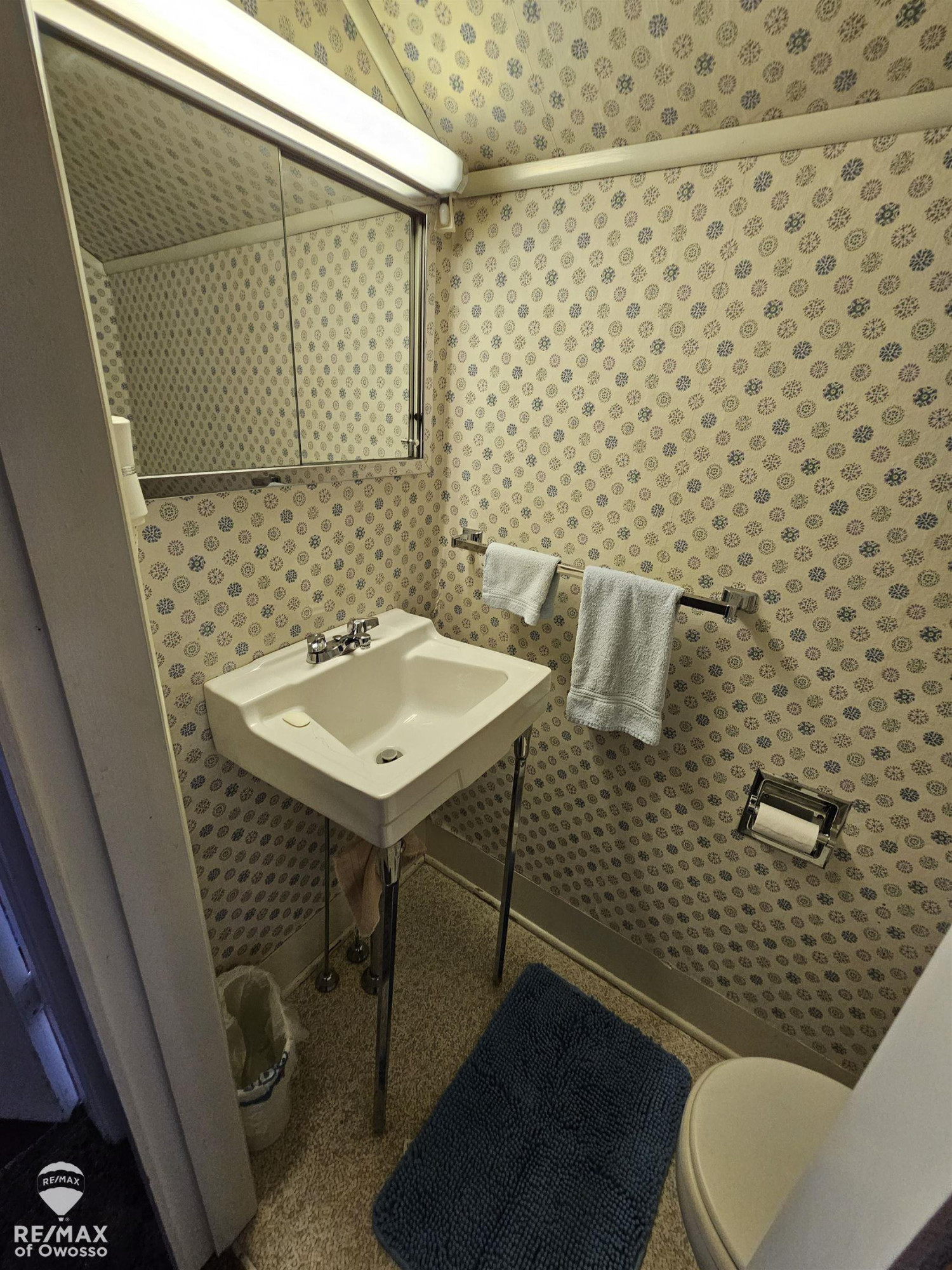 201 Clinton Street, Ovid, MI 48866 — Photo 15