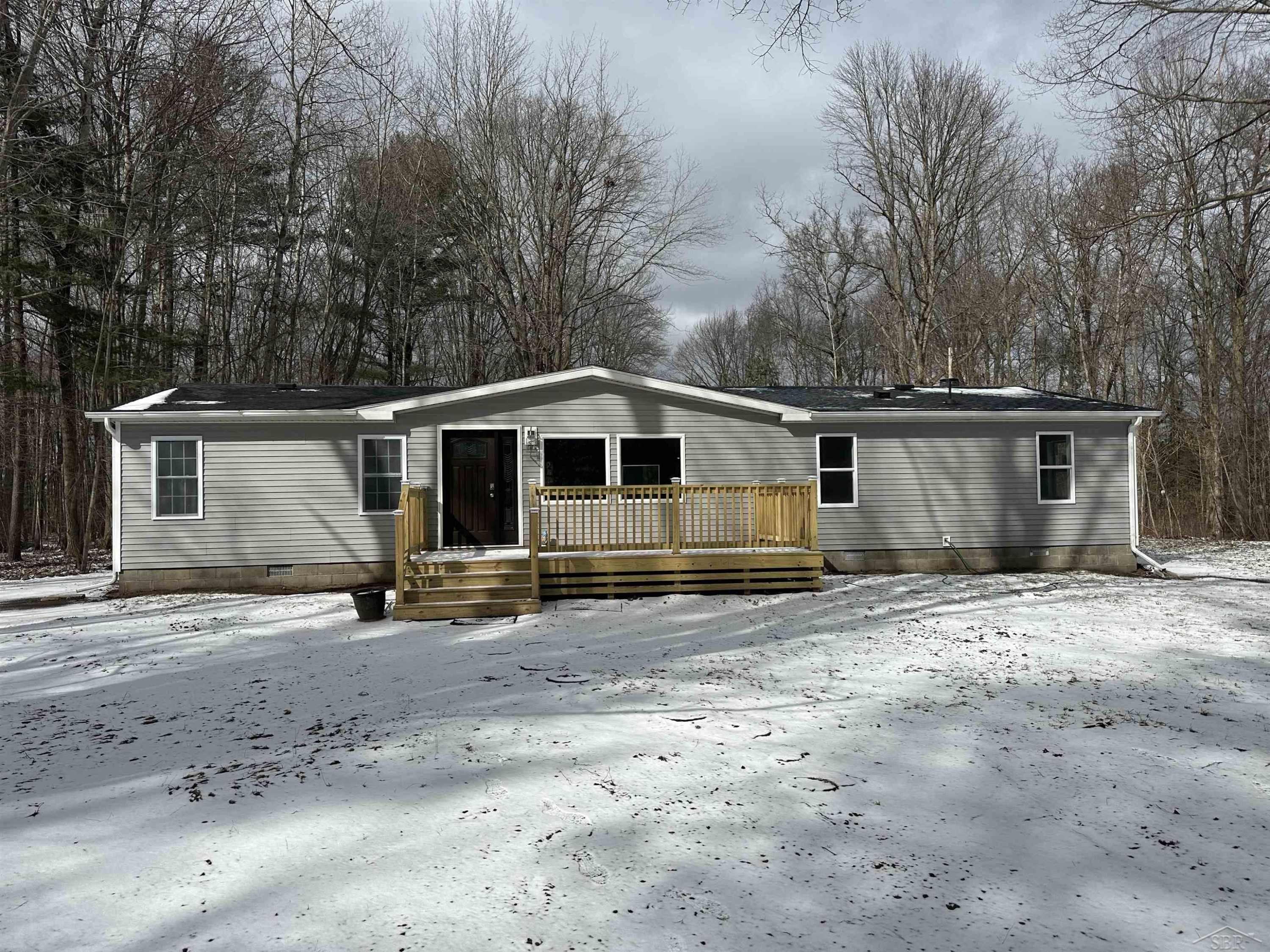 10066 Raucholz Road, Brant, MI 48614 — Photo 2