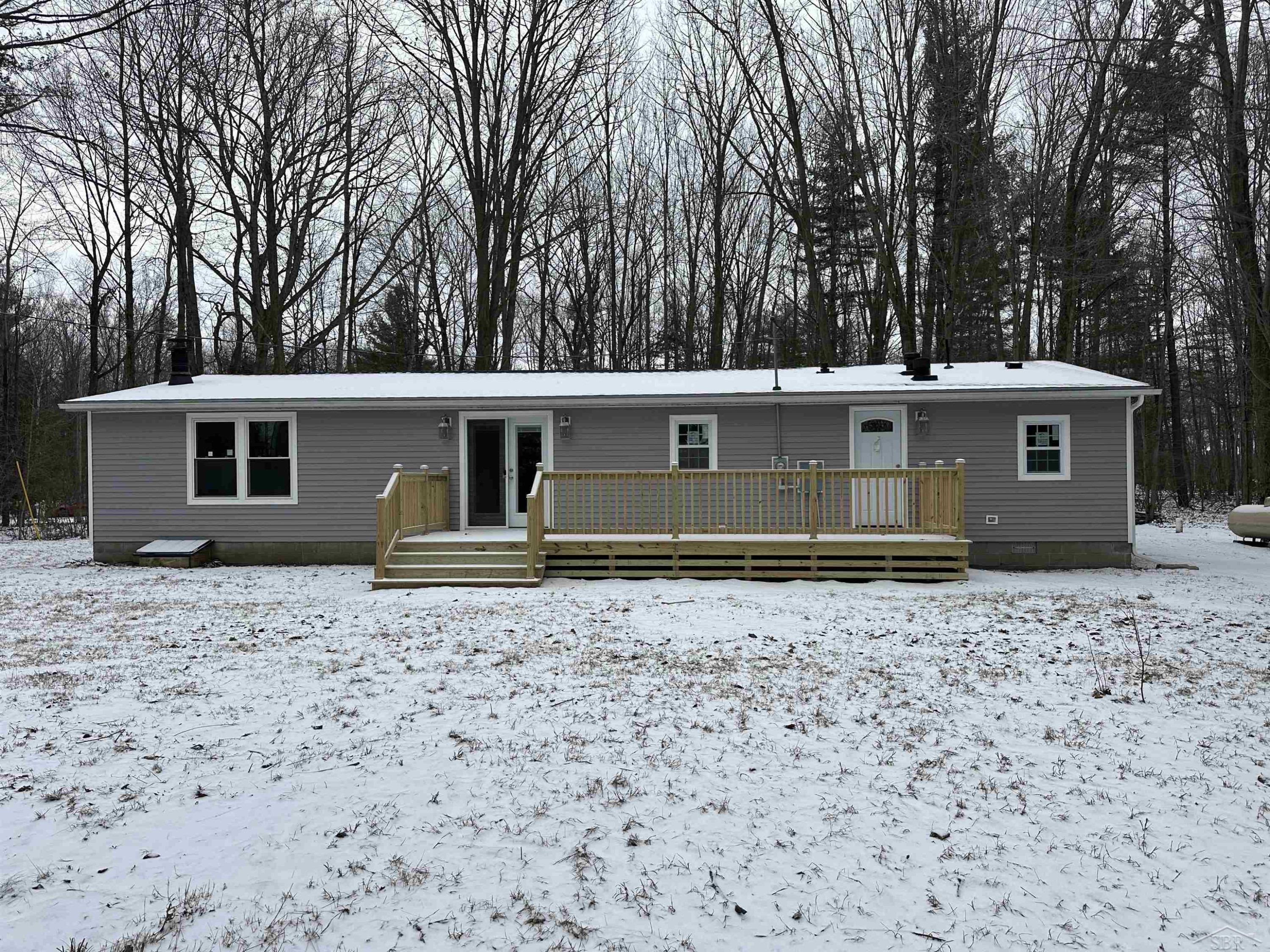 10066 Raucholz Road, Brant, MI 48614 — Photo 4
