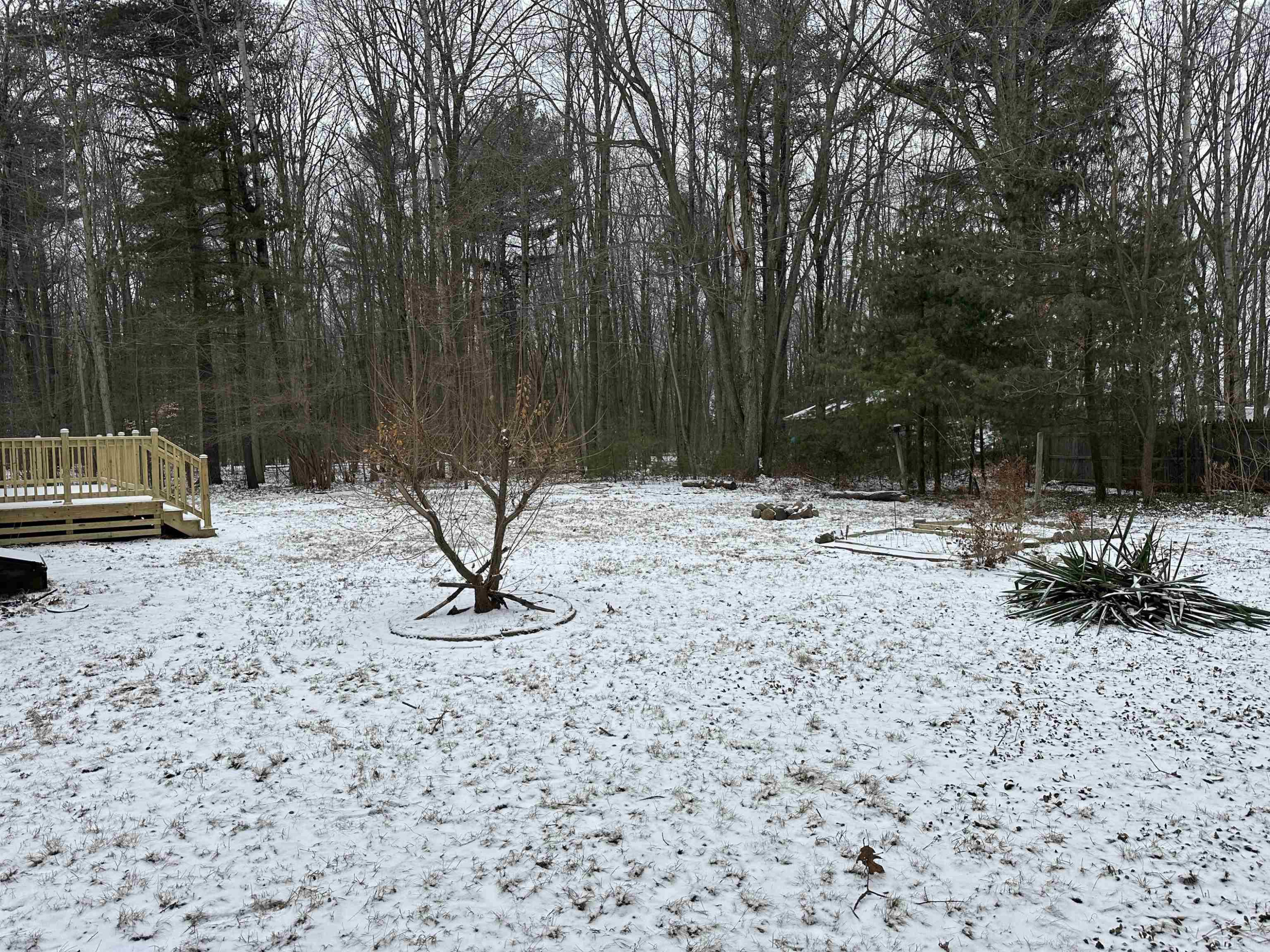 10066 Raucholz Road, Brant, MI 48614 — Photo 5