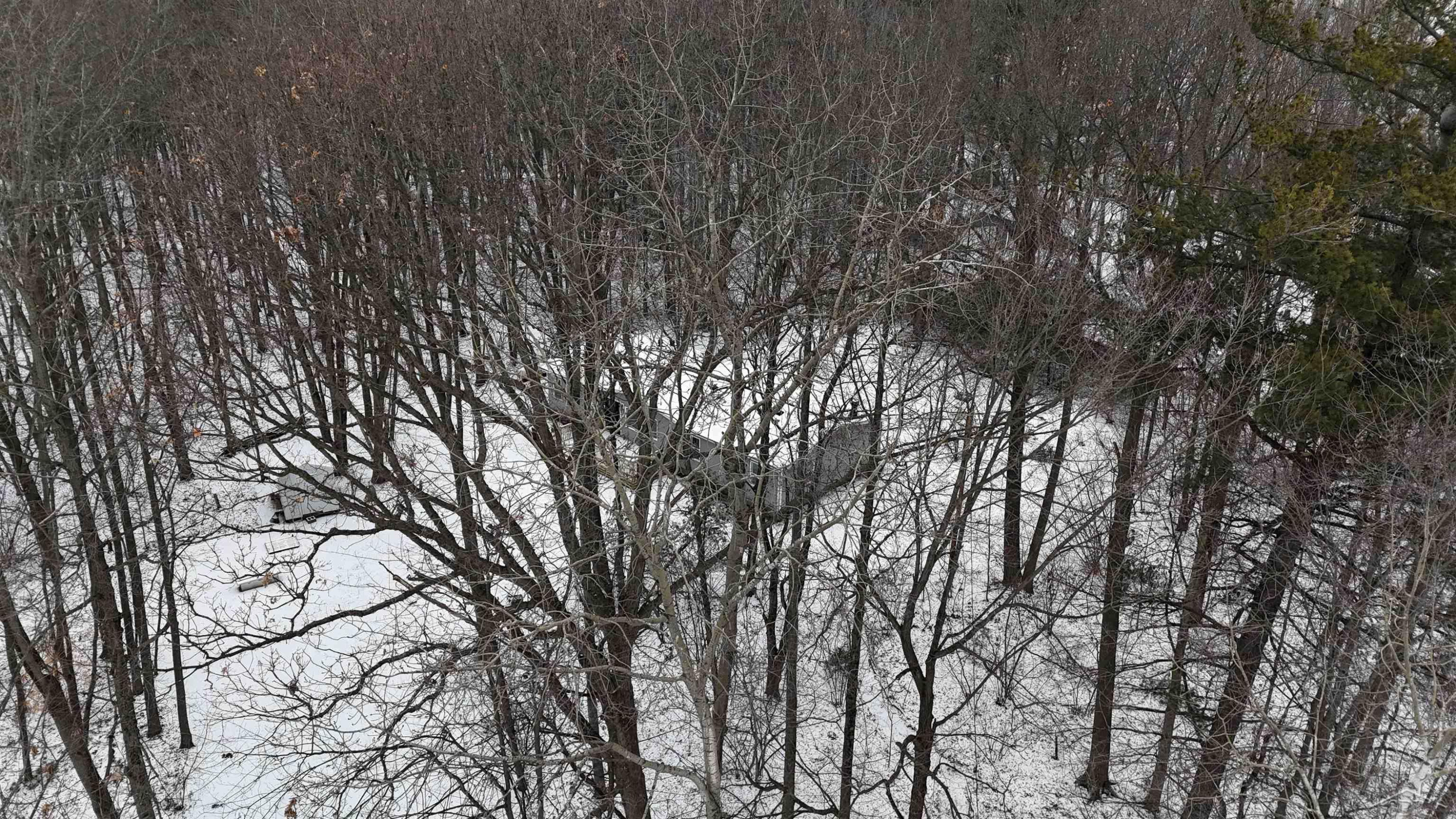 10066 Raucholz Road, Brant, MI 48614 — Photo 8