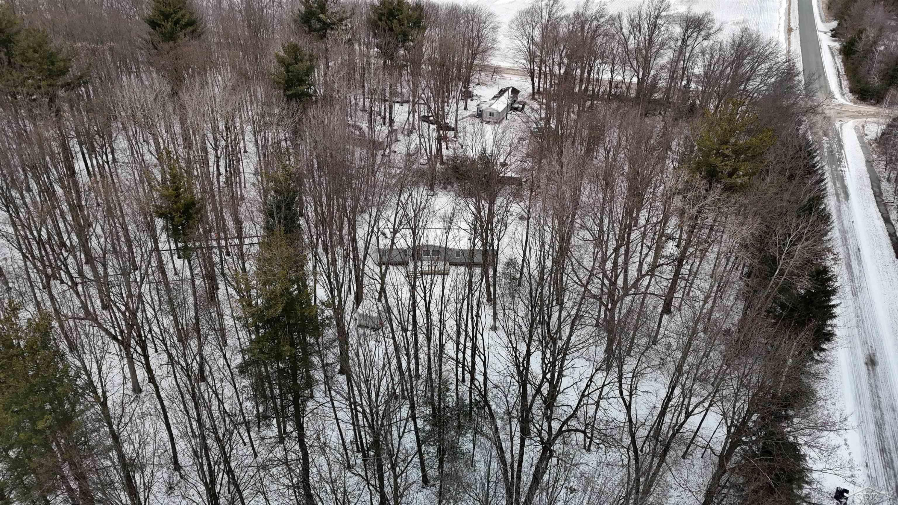 10066 Raucholz Road, Brant, MI 48614 — Photo 9