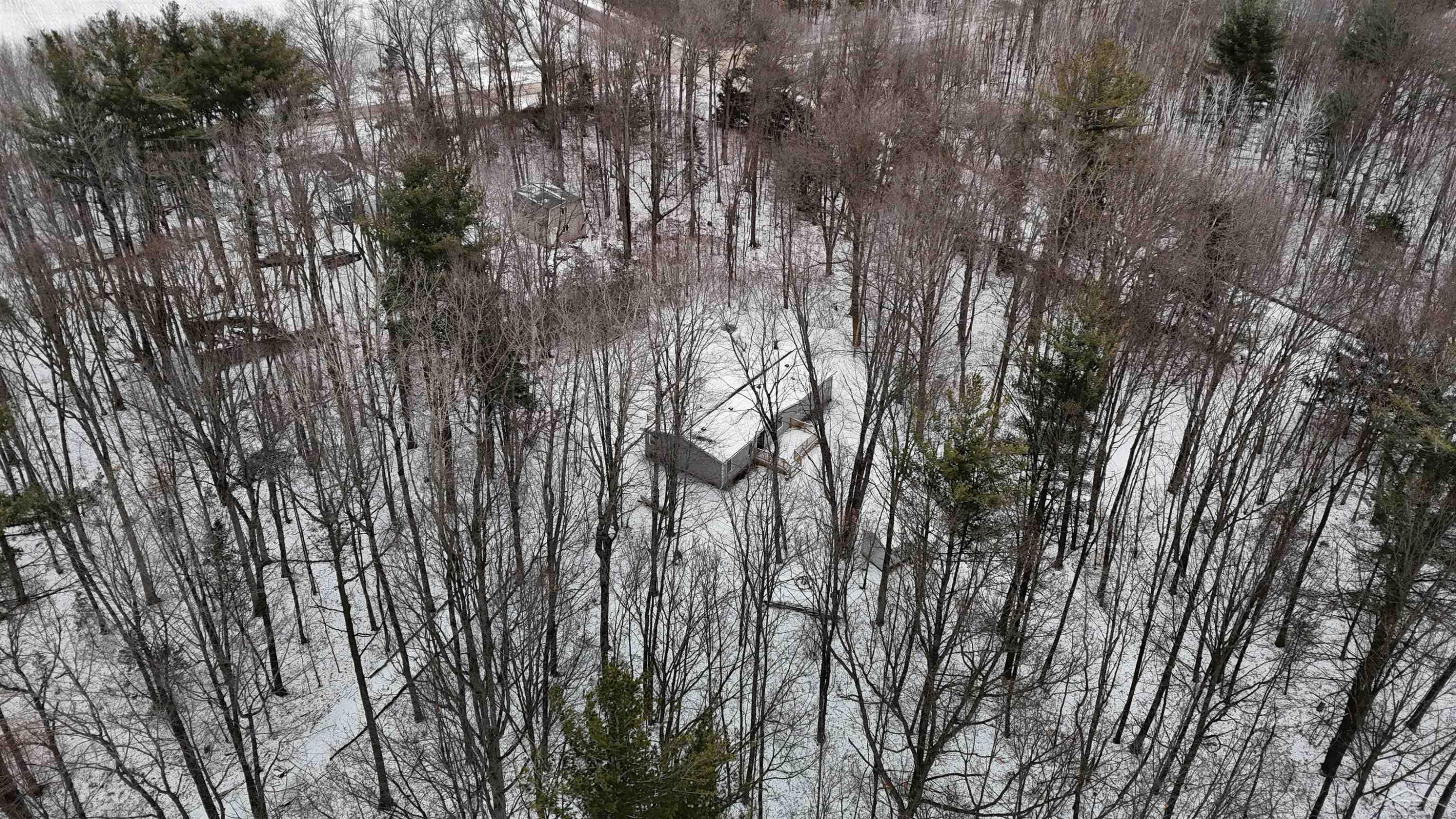 10066 Raucholz Road, Brant, MI 48614 — Photo 10