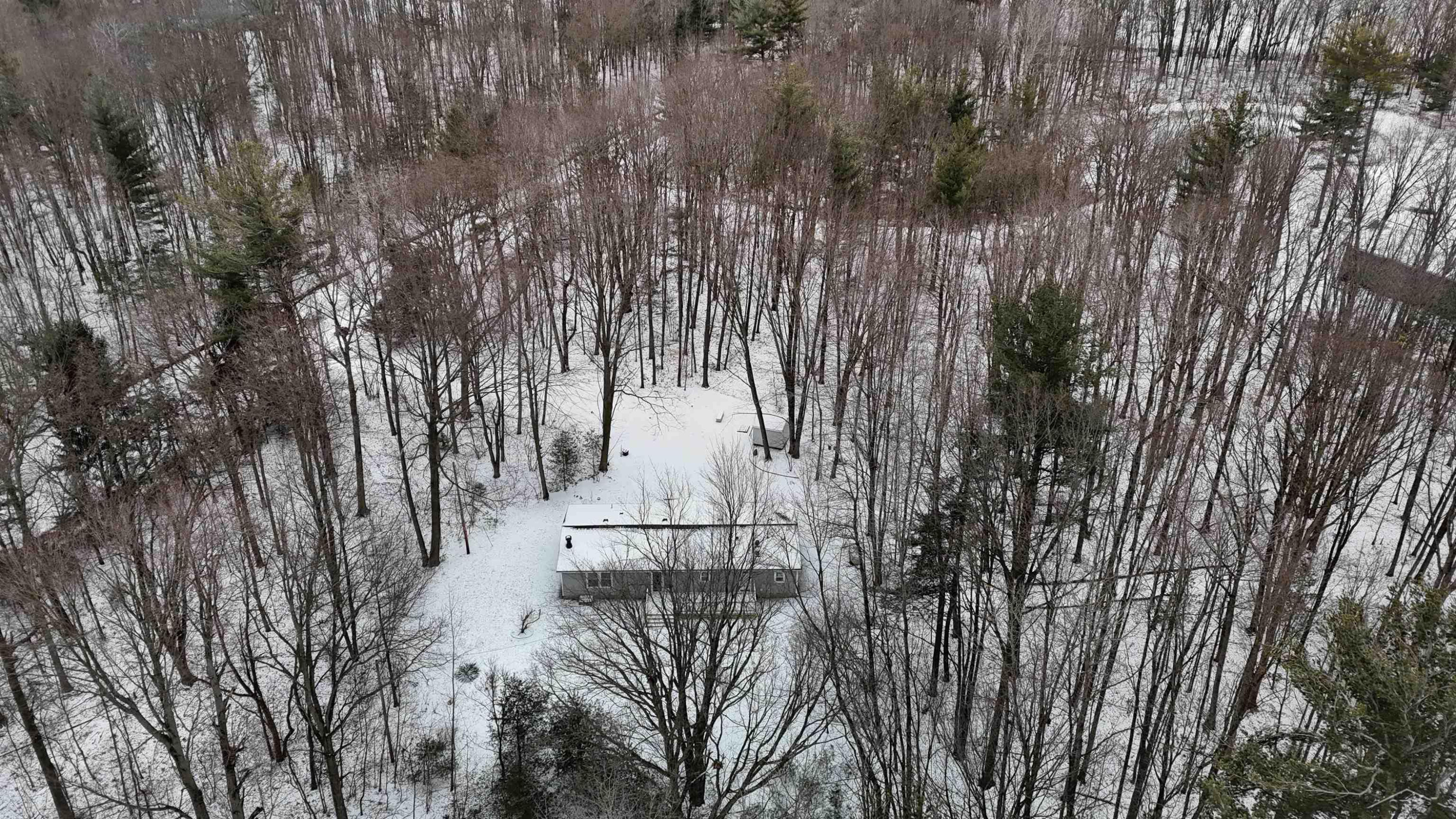 10066 Raucholz Road, Brant, MI 48614 — Photo 11