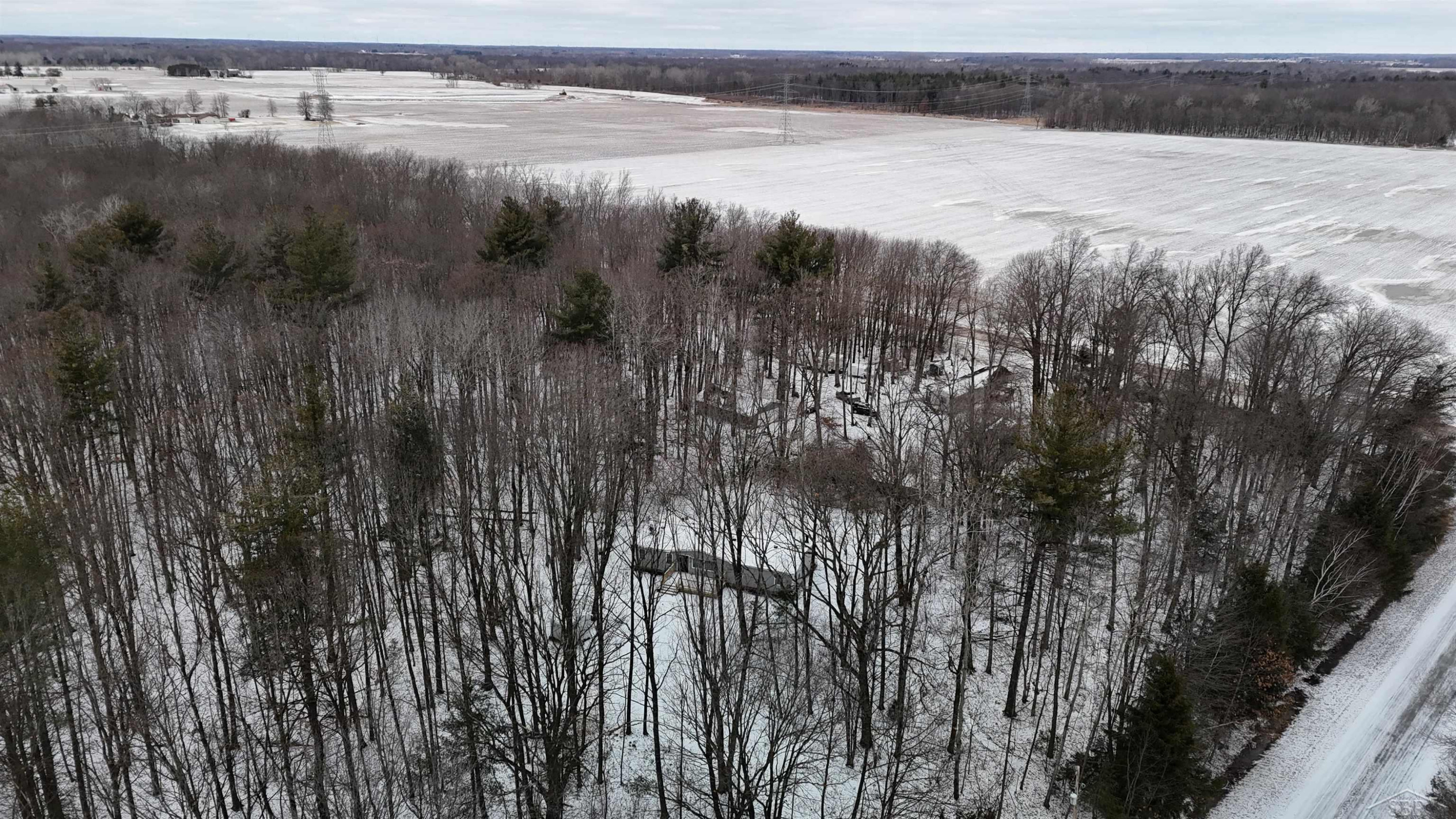 10066 Raucholz Road, Brant, MI 48614 — Photo 12