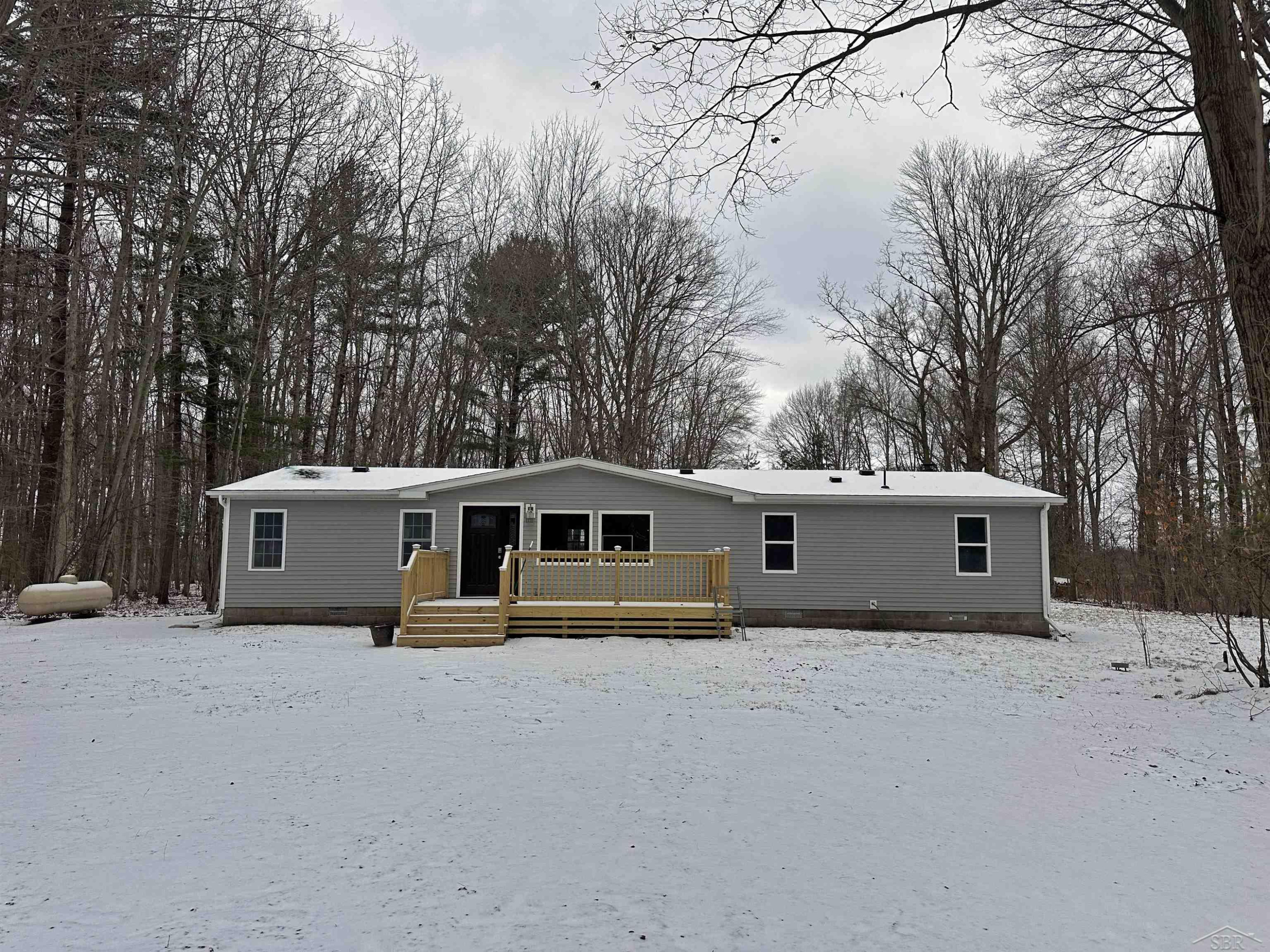 10066 Raucholz Road, Brant, MI 48614 — Photo 39