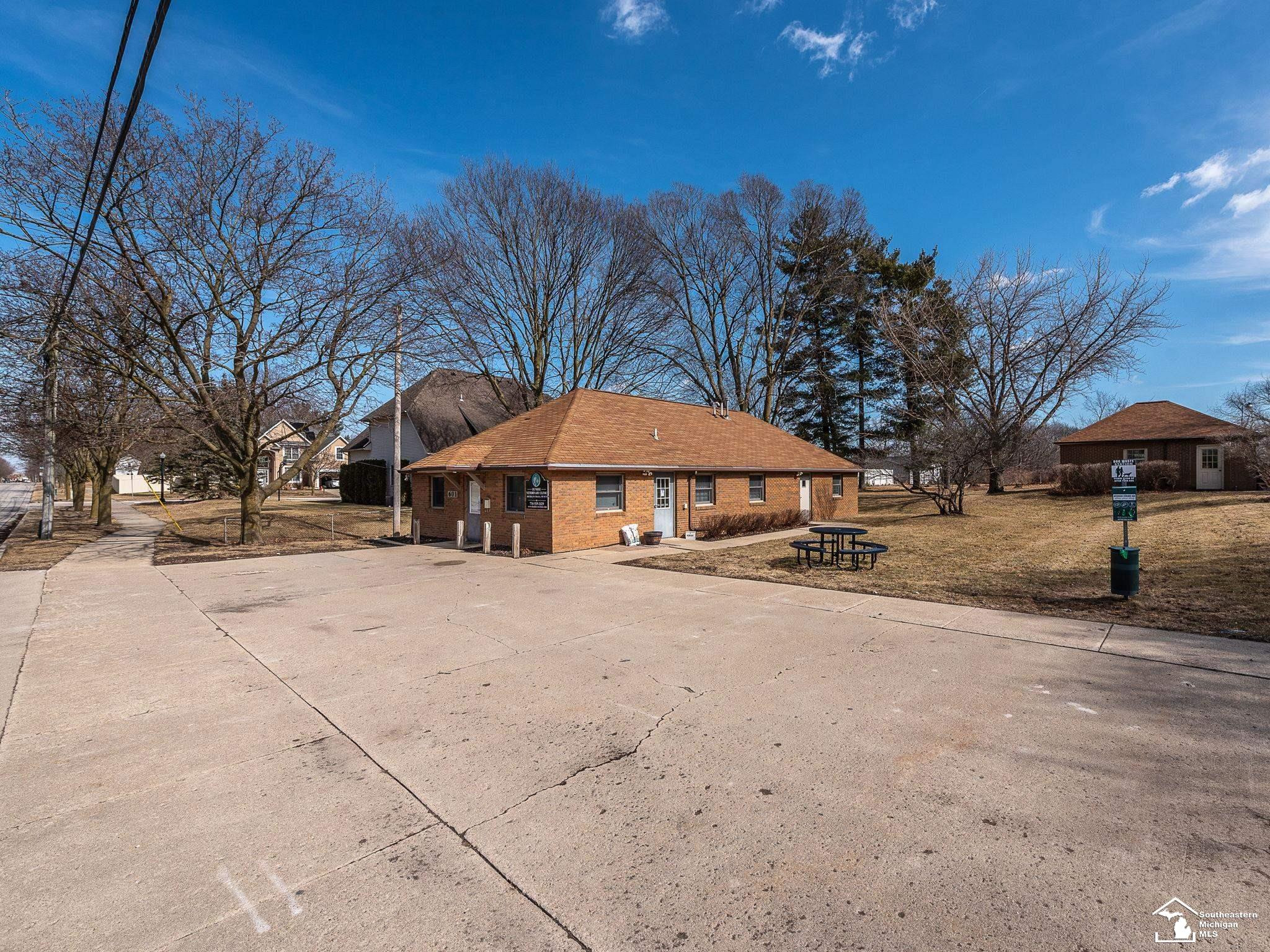 601 Riley Street, MI