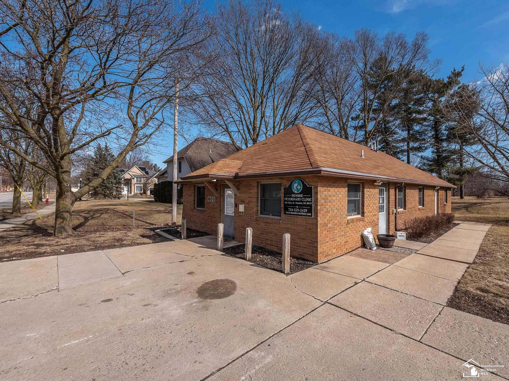 601 Riley Street, MI — Photo 2