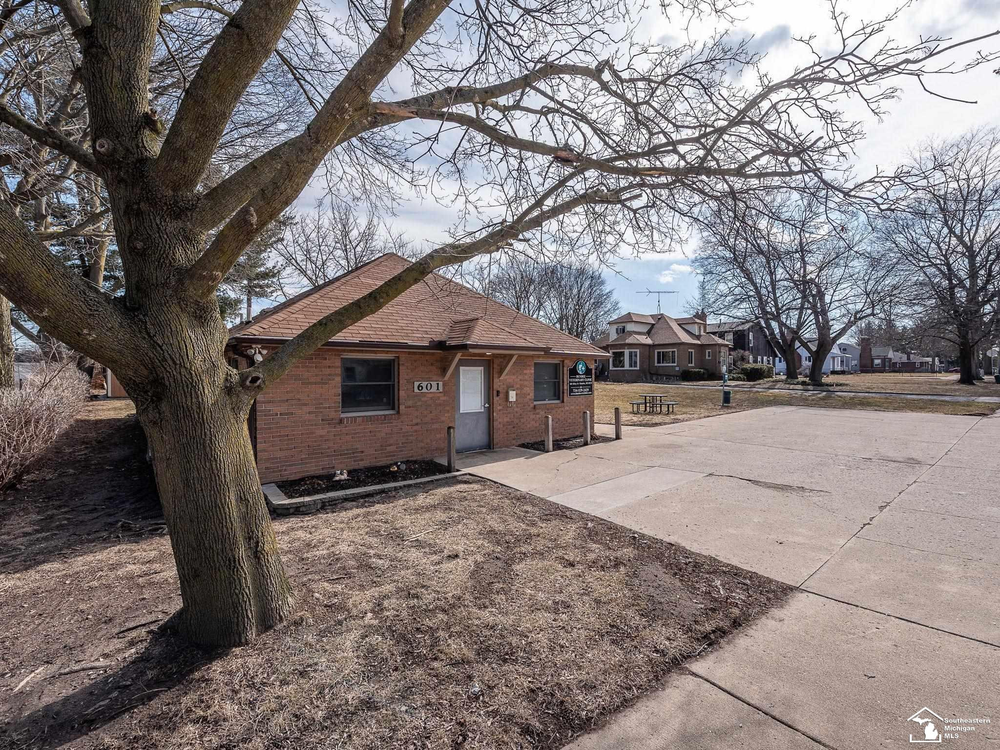 601 Riley Street, MI — Photo 3