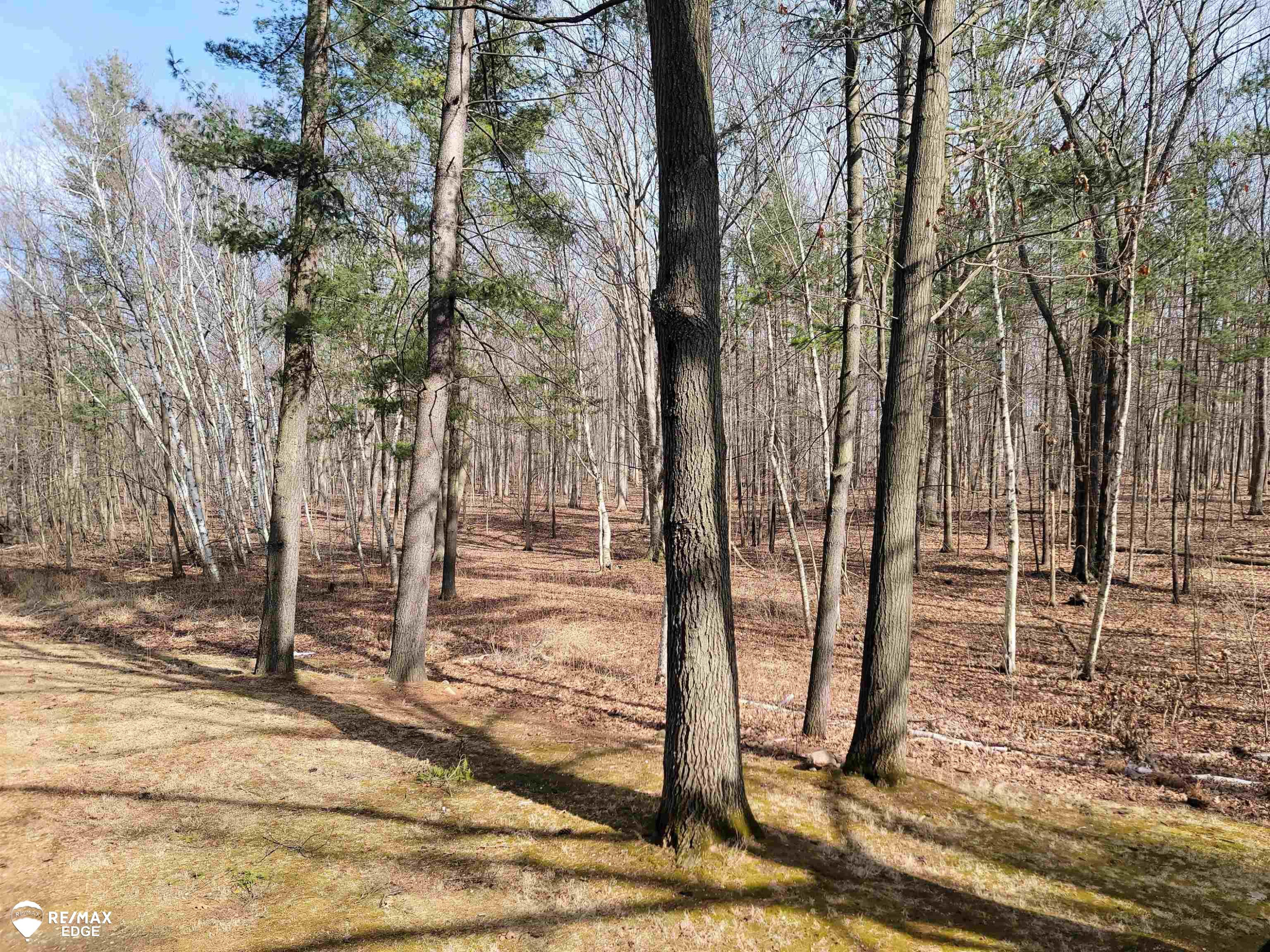10400 Cemetery Road, Otisville, MI 48463 — Photo 16
