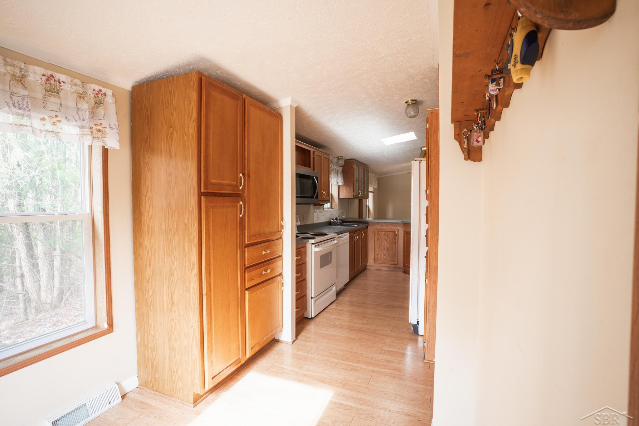 1073 Carmen Drive, Weidman, MI 48893 — Photo 5
