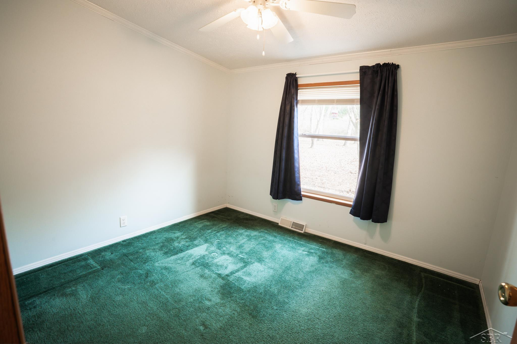 1073 Carmen Drive, Weidman, MI 48893 — Photo 17