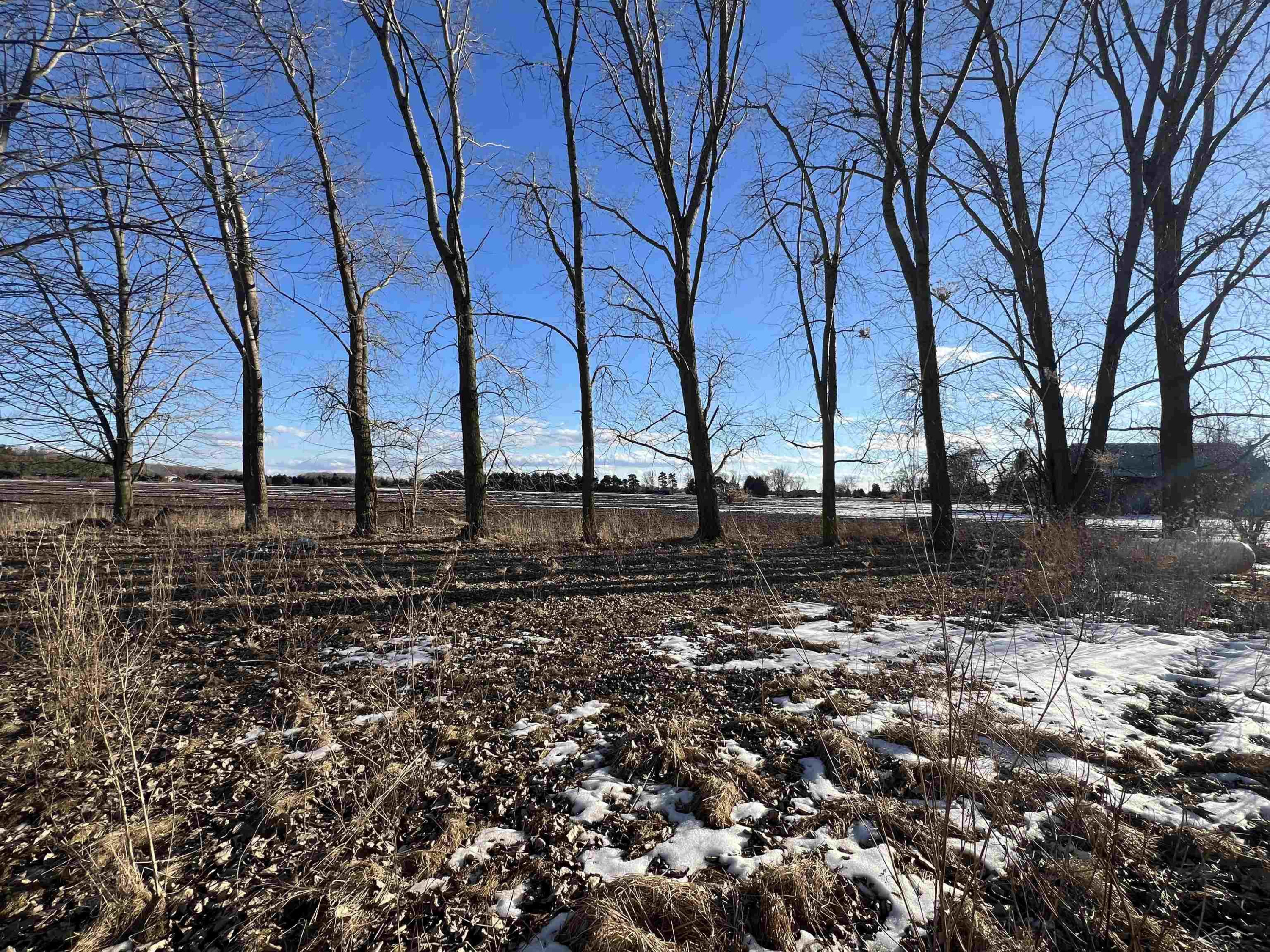 19821 Dice Road, Merrill, MI 48637 — Photo 21
