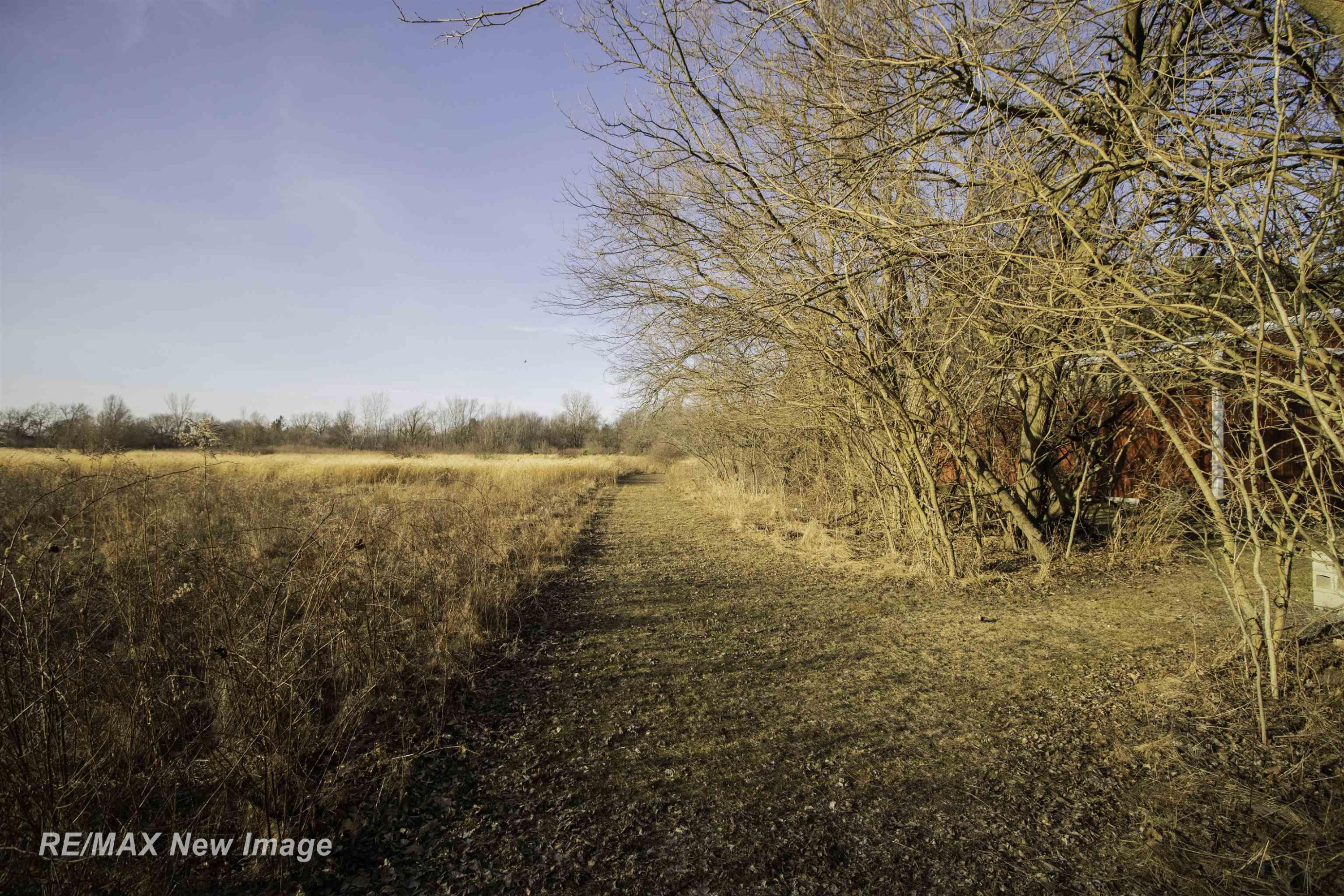 17240 Sharon Road, Chesaning, MI 48616 — Photo 34