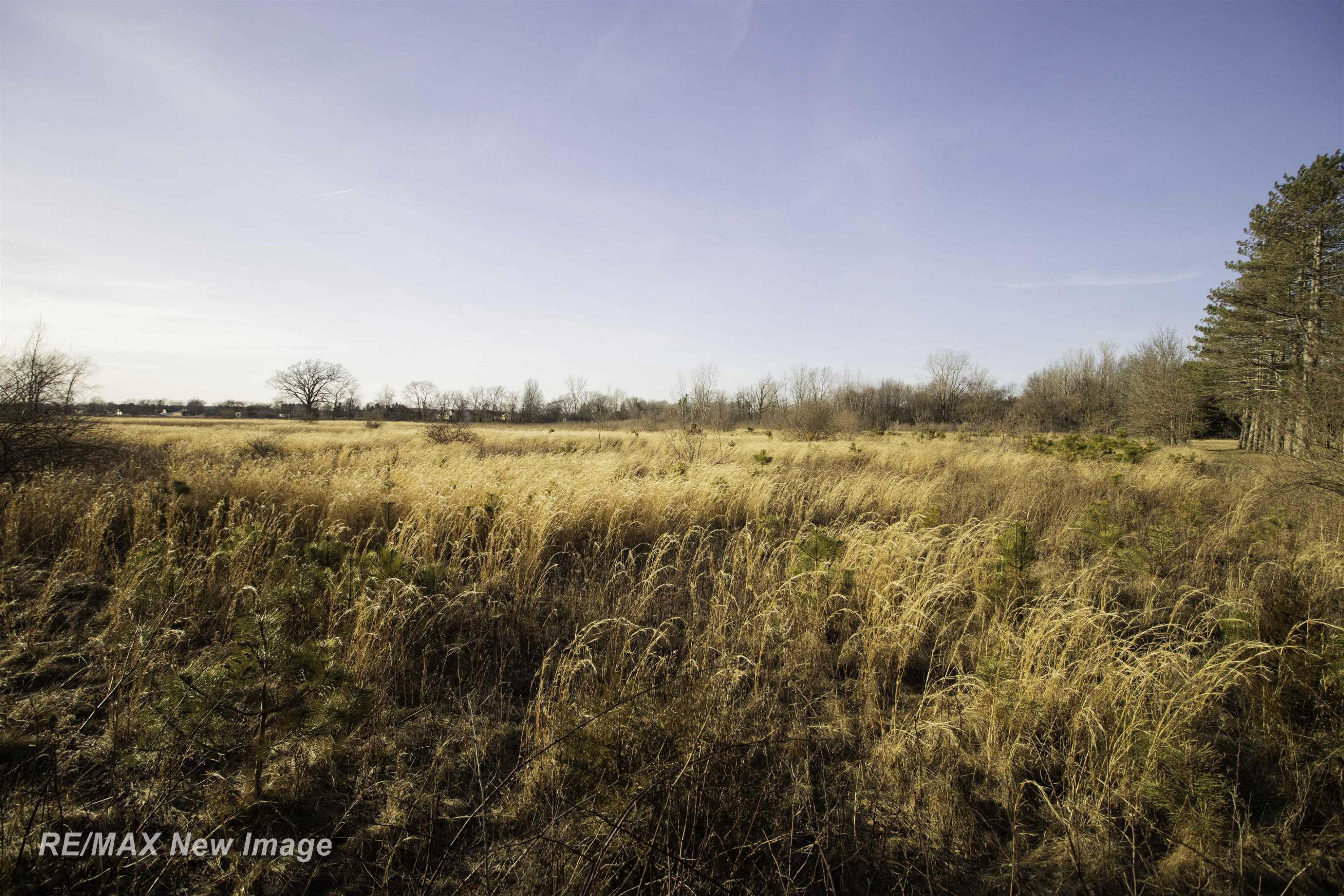 17240 Sharon Road, Chesaning, MI 48616 — Photo 35