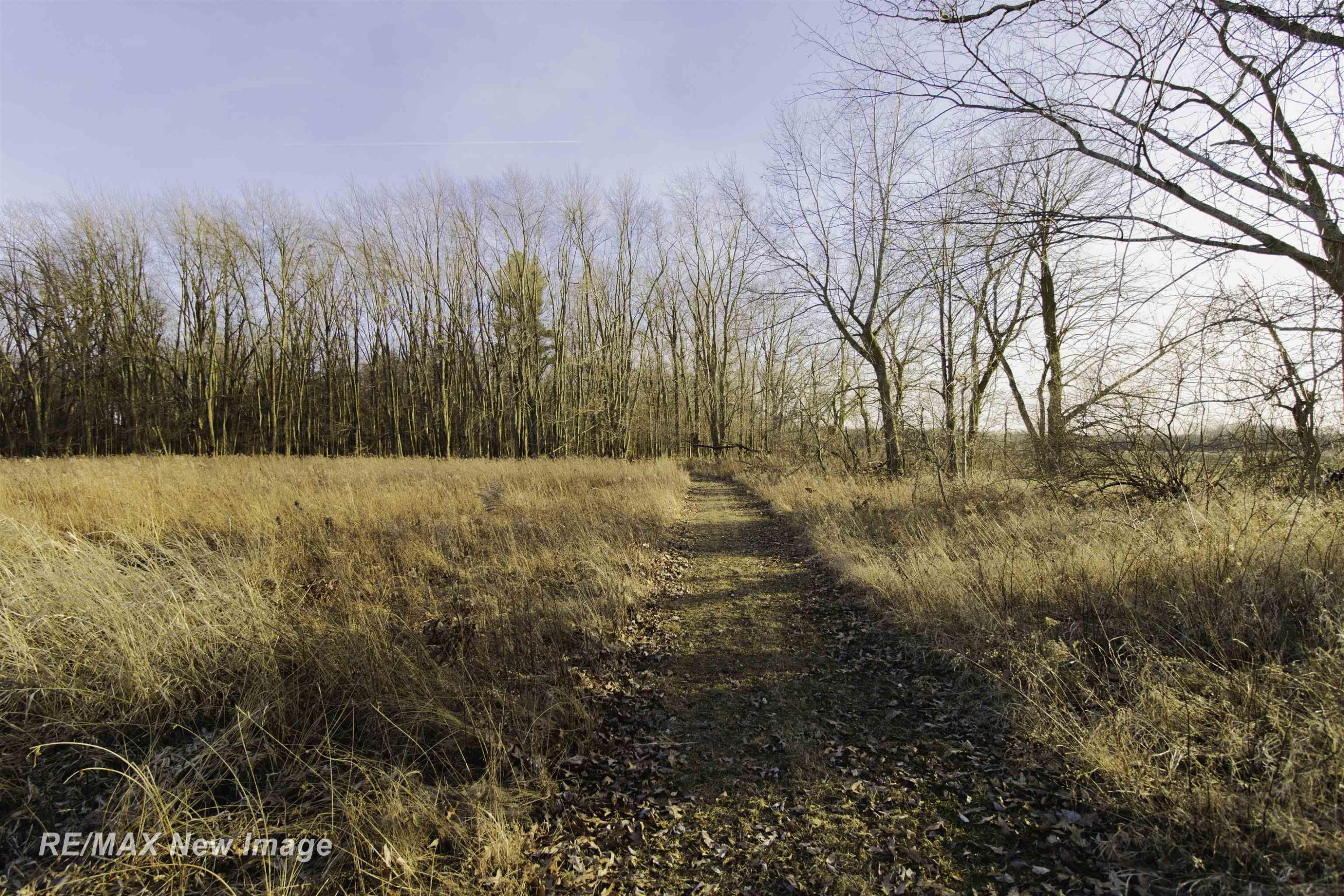 17240 Sharon Road, Chesaning, MI 48616 — Photo 38