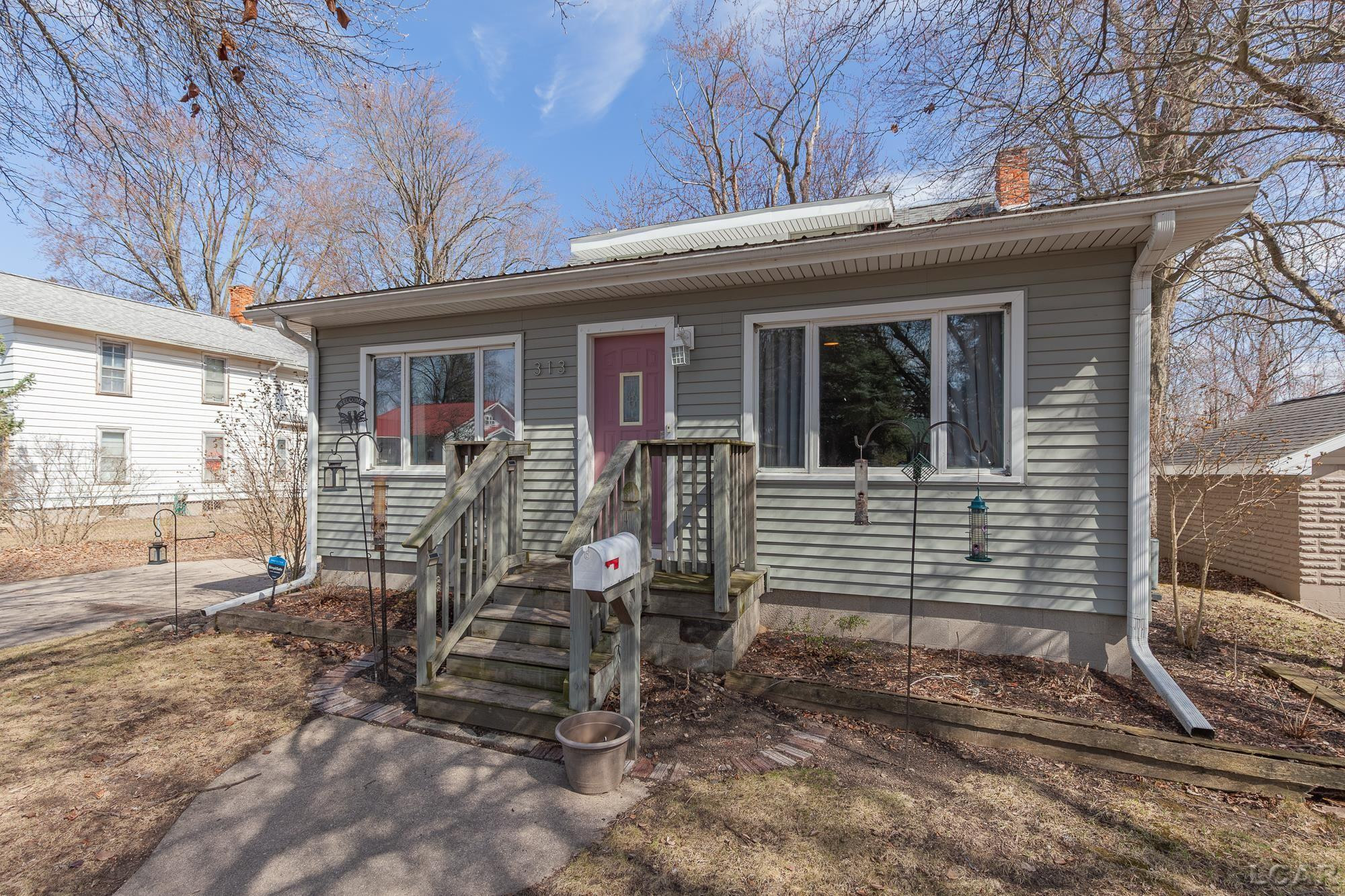 313 Jipson Street, Blissfield, MI 49228 — Photo 35