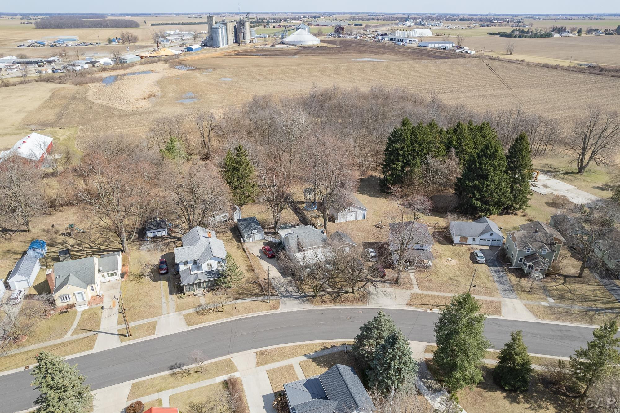 313 Jipson Street, Blissfield, MI 49228 — Photo 43