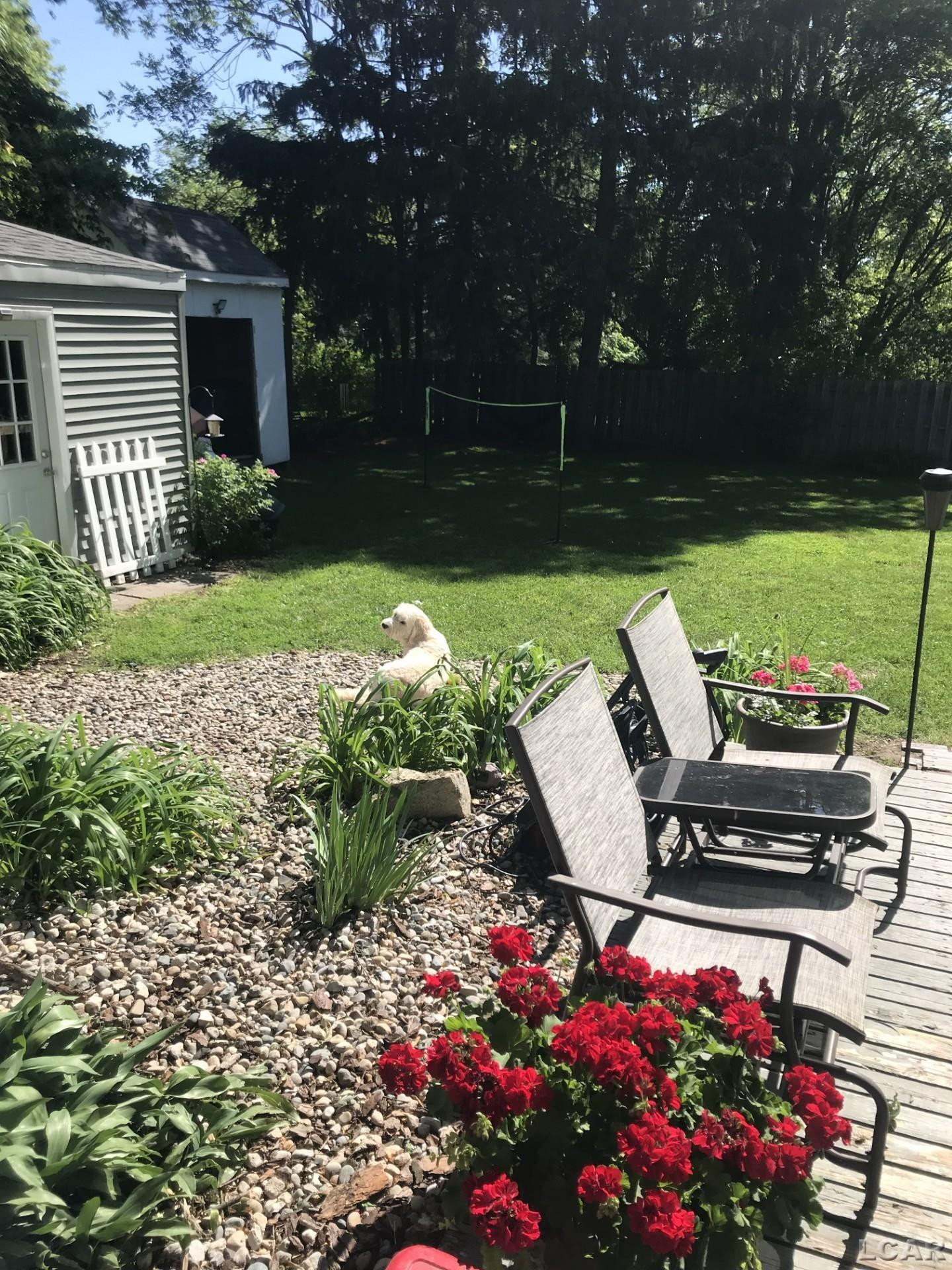 313 Jipson Street, Blissfield, MI 49228 — Photo 45