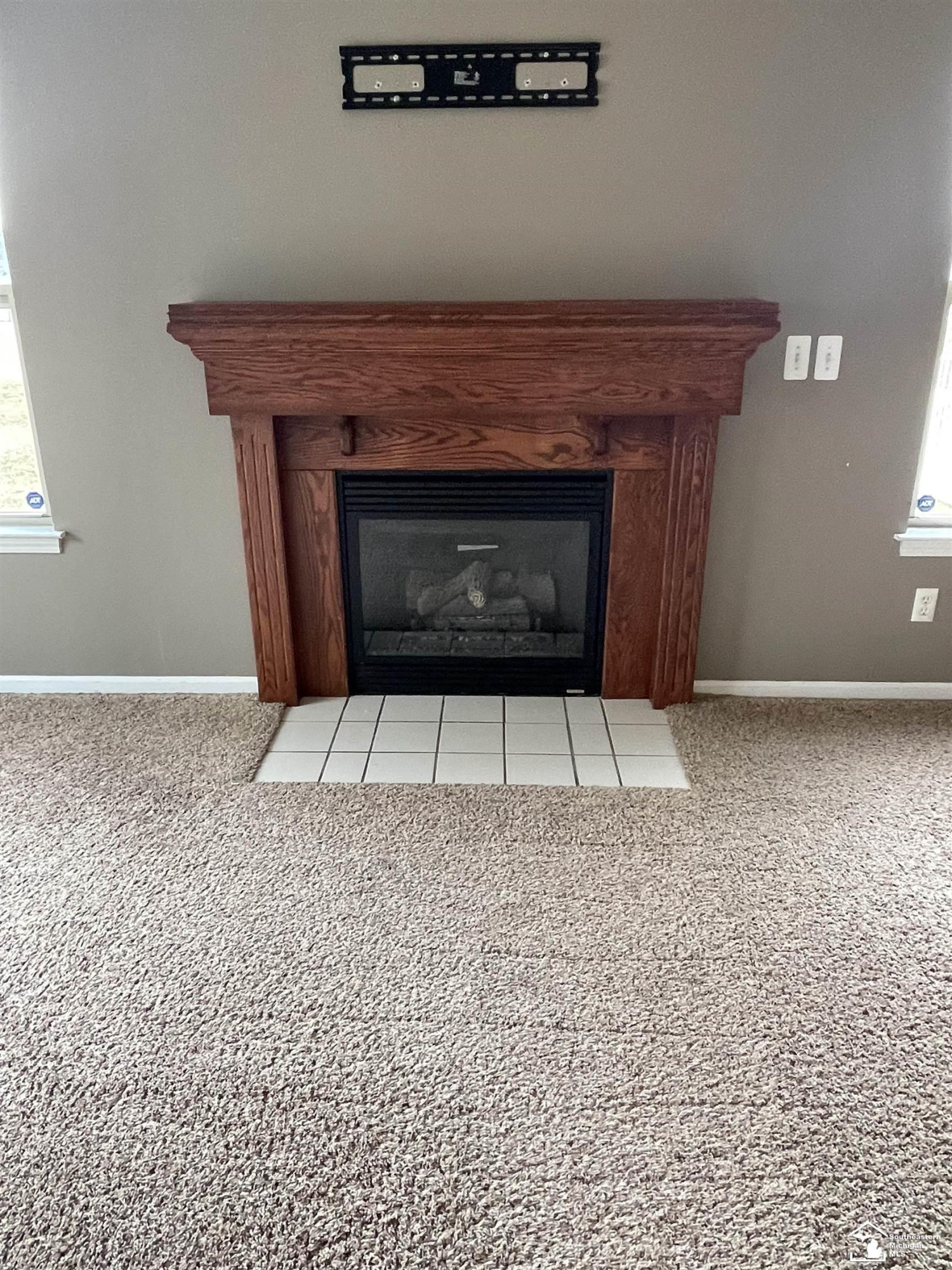 260 Caribou Run, Dundee, MI 48131 — Photo 6