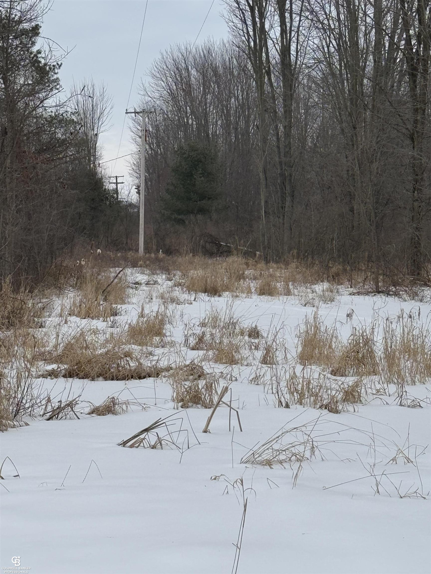 11105 Bryce Road, Emmett, MI 48022 — Photo 3