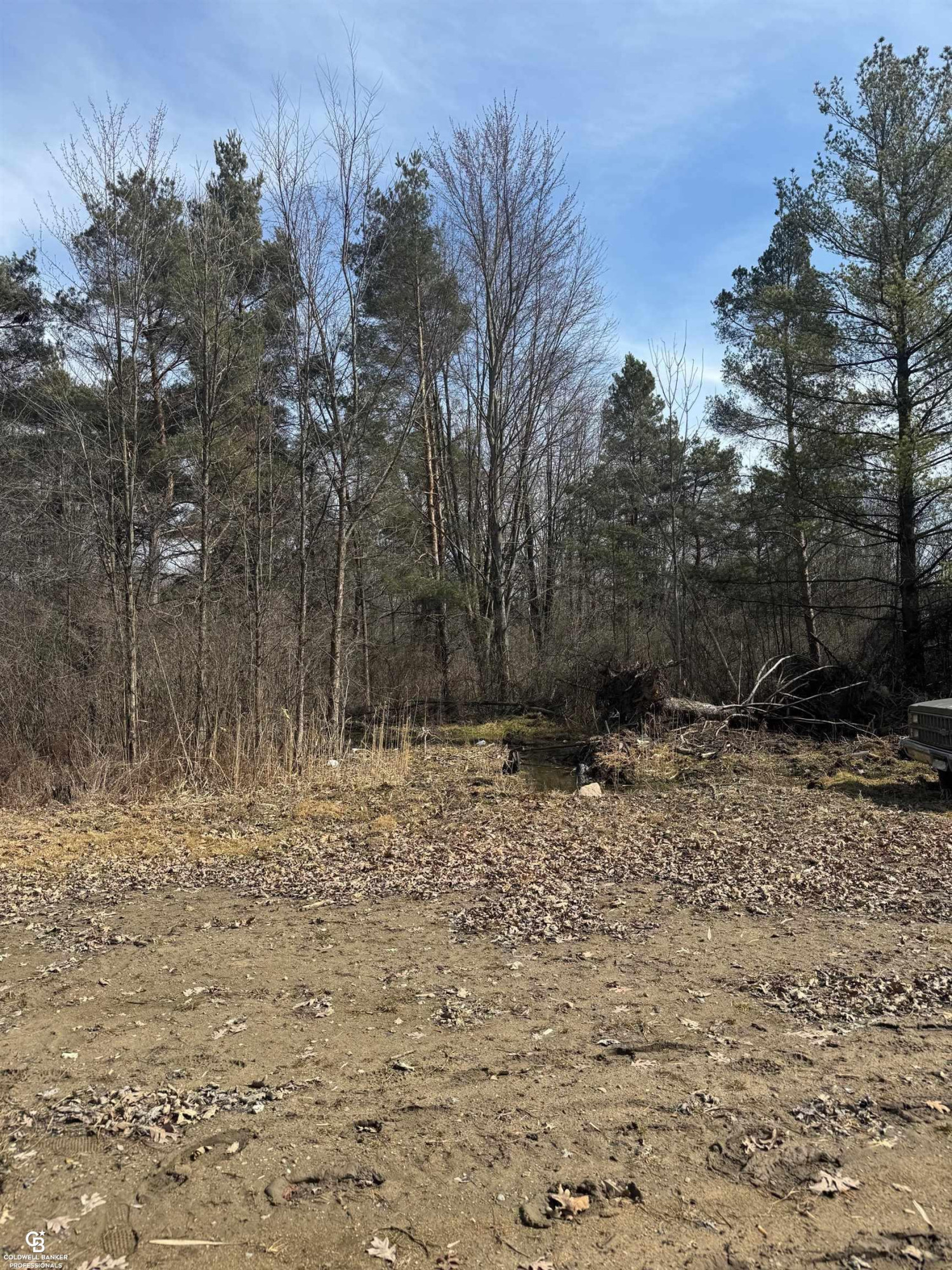 11105 Bryce Road, Emmett, MI 48022 — Photo 18