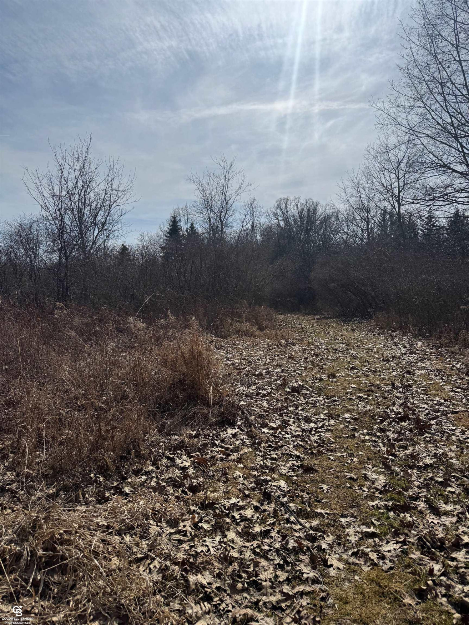 11105 Bryce Road, Emmett, MI 48022 — Photo 24