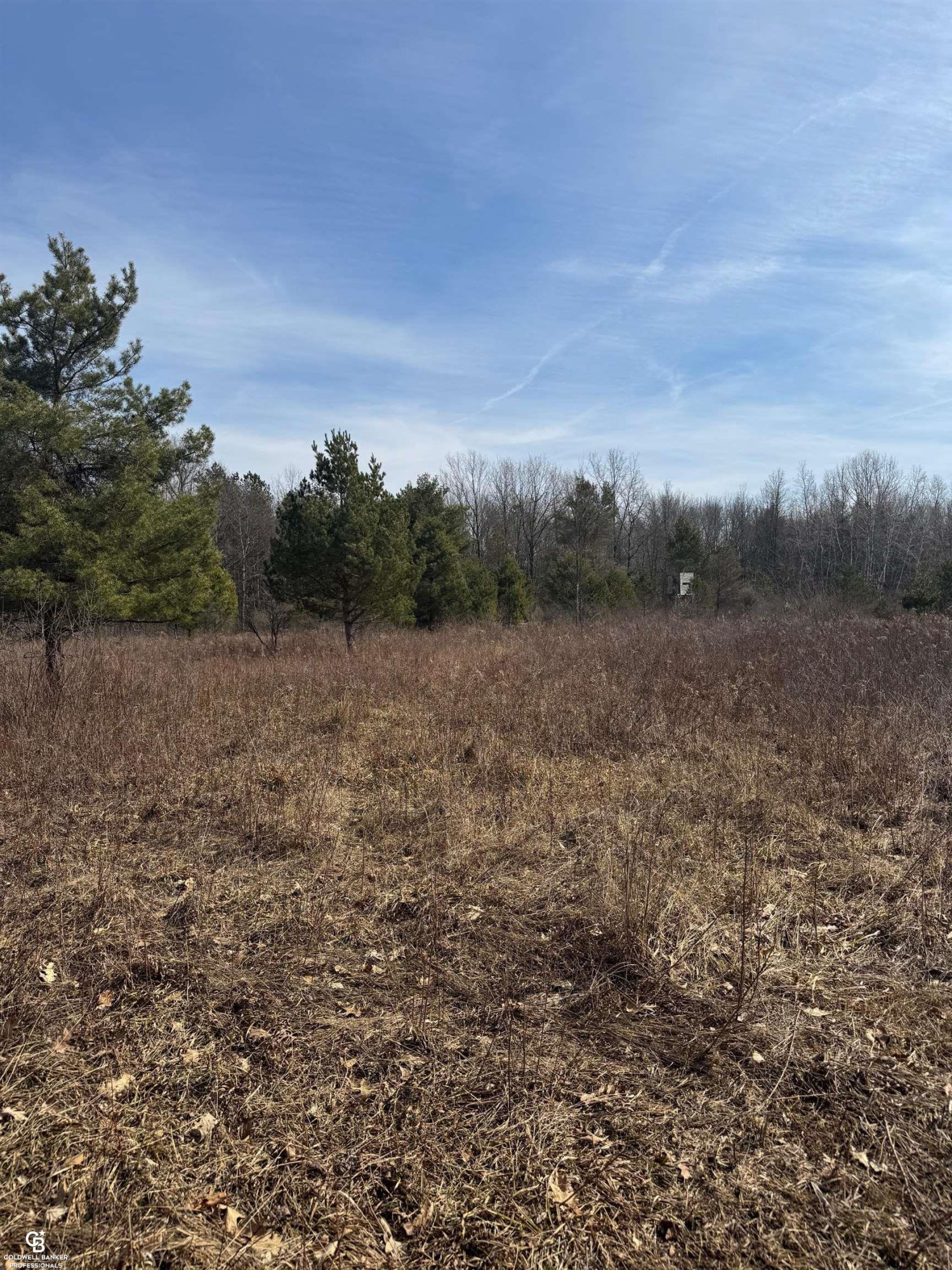 11105 Bryce Road, Emmett, MI 48022 — Photo 27
