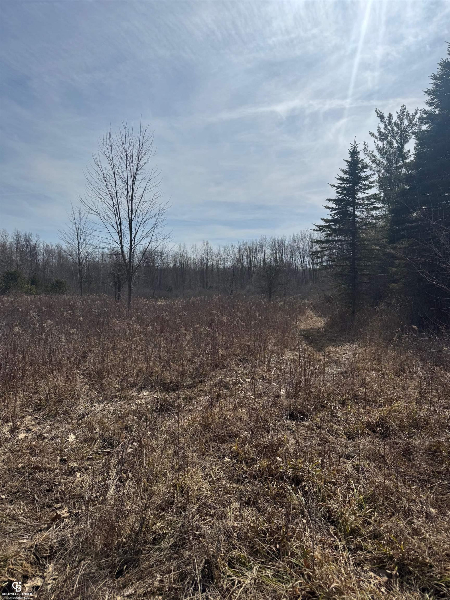 11105 Bryce Road, Emmett, MI 48022 — Photo 28