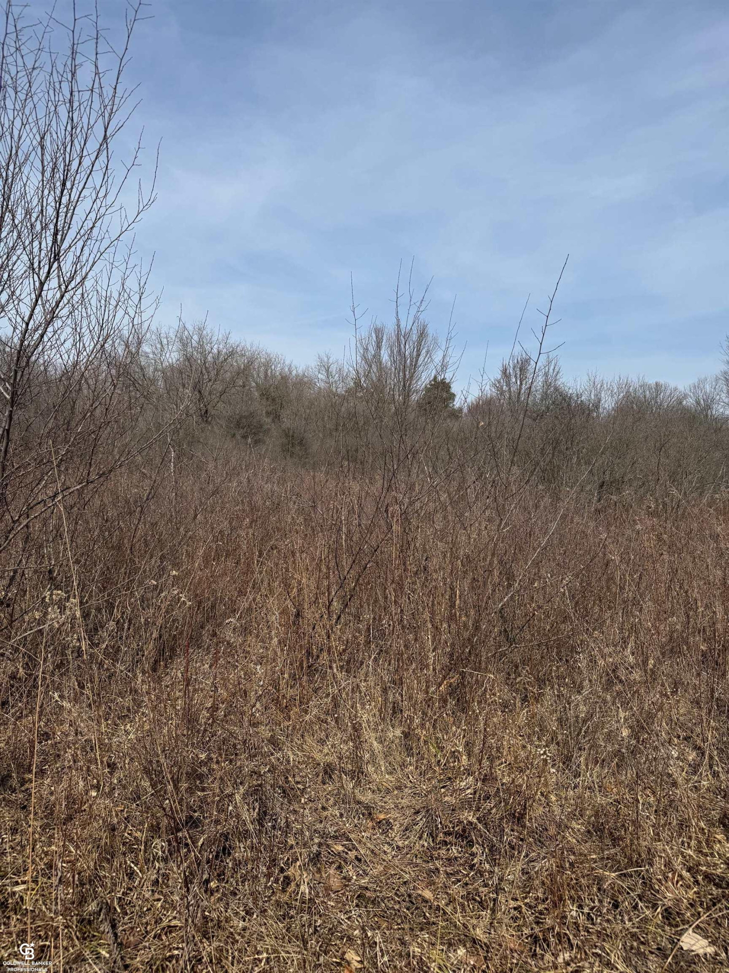 11105 Bryce Road, Emmett, MI 48022 — Photo 29