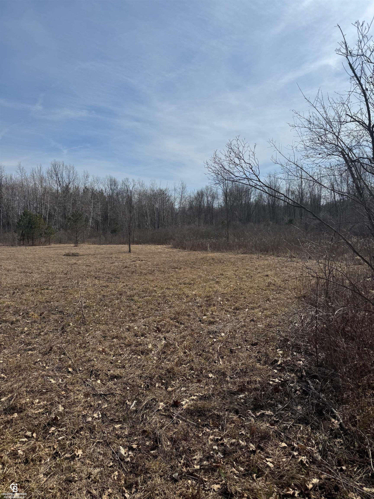 11105 Bryce Road, Emmett, MI 48022 — Photo 32