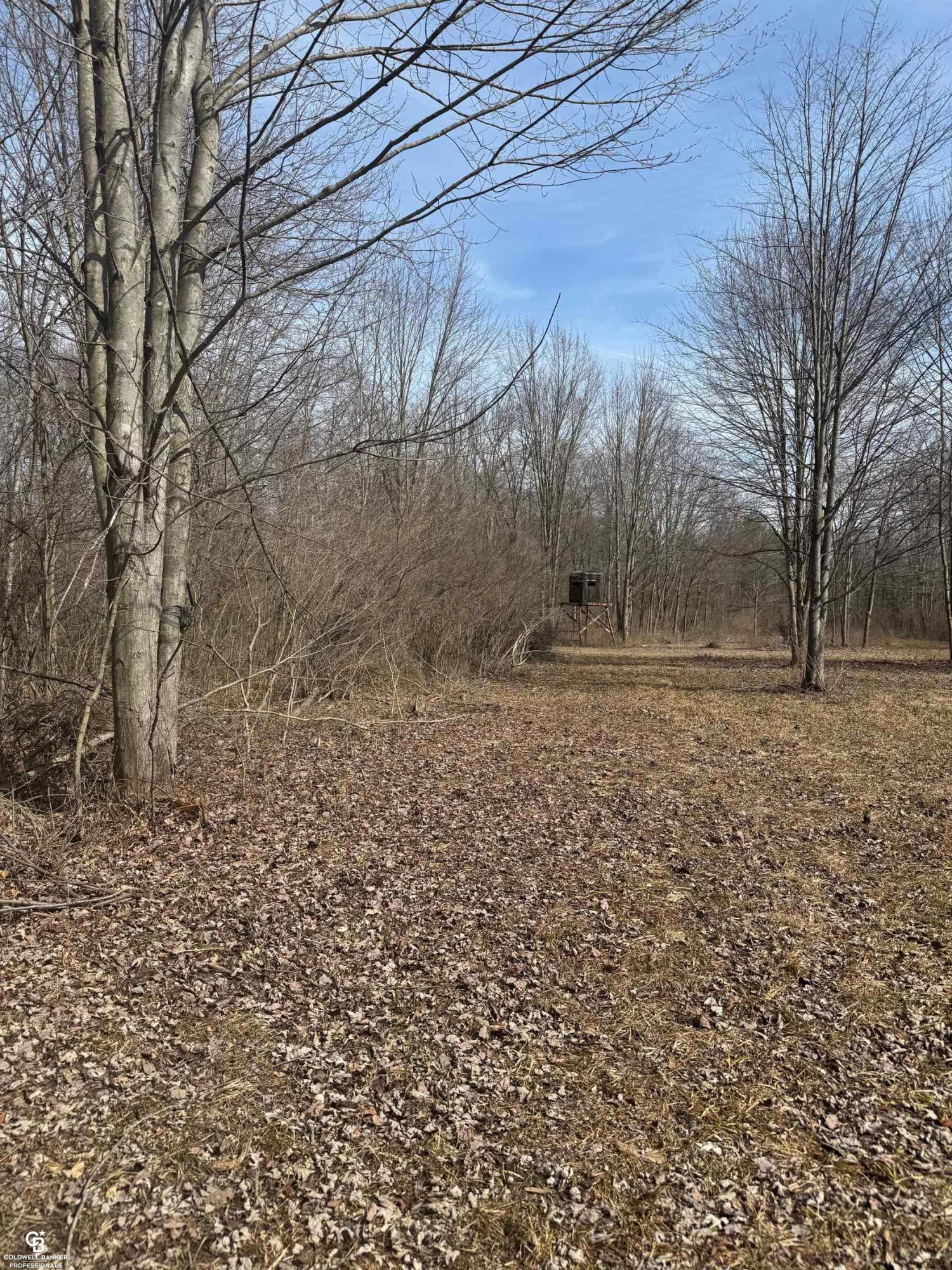 11105 Bryce Road, Emmett, MI 48022 — Photo 37