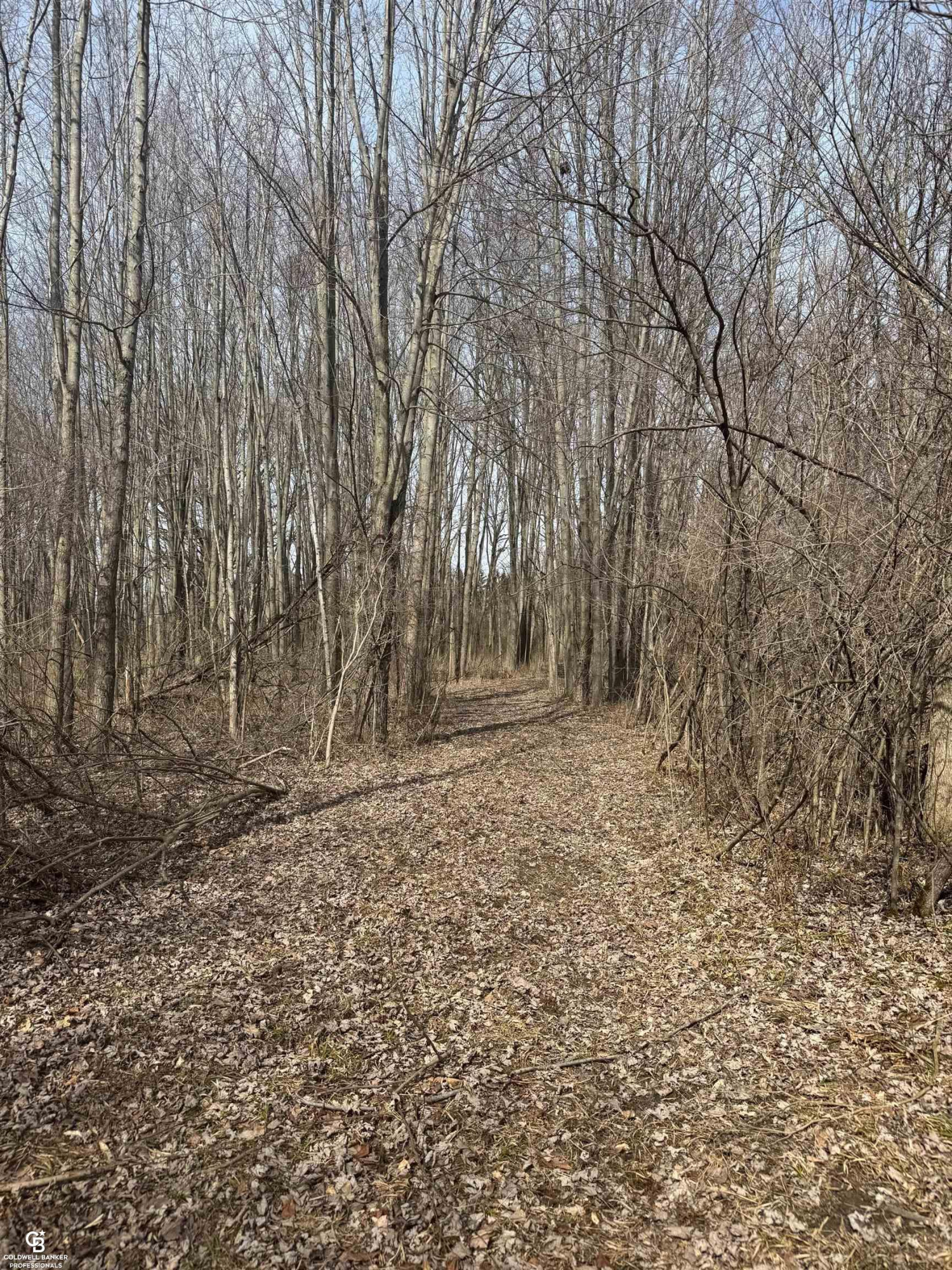 11105 Bryce Road, Emmett, MI 48022 — Photo 38