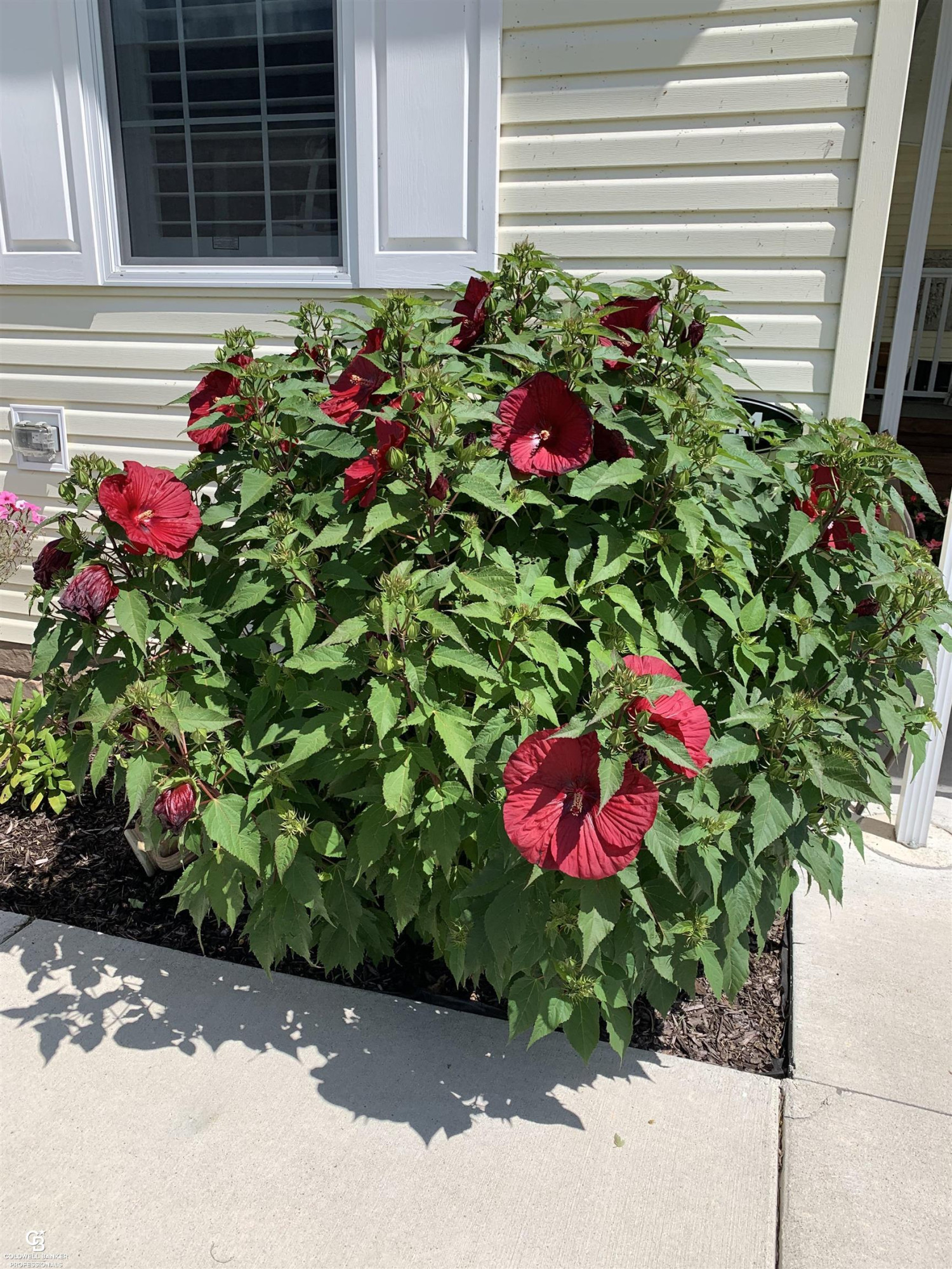 10614 LaRochelle Lot29 Court, MI — Photo 16