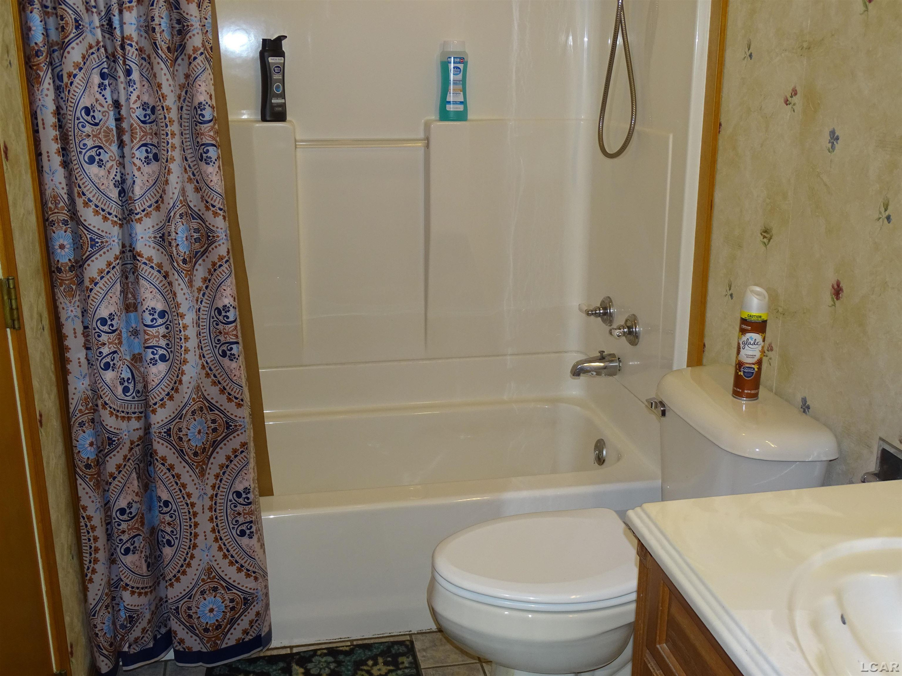 203 Veterans Avenue, Blissfield, MI 49228 — Photo 19
