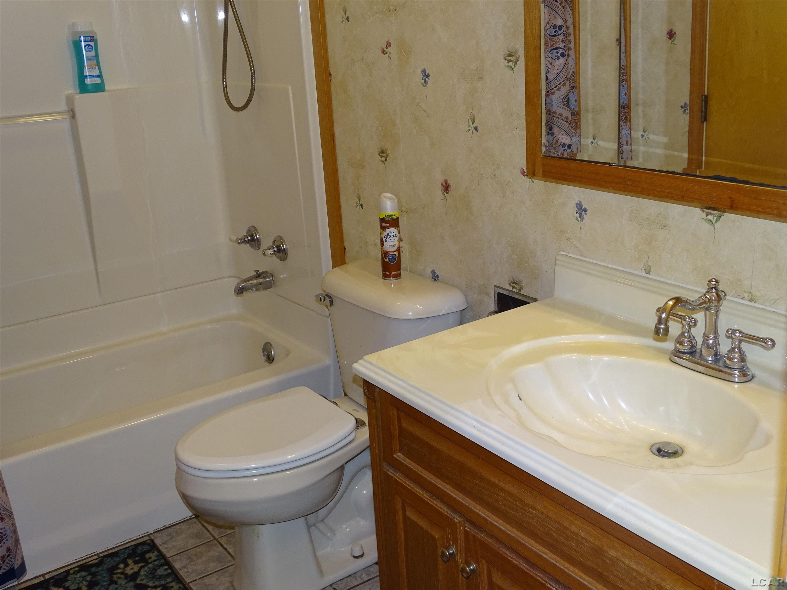 203 Veterans Avenue, Blissfield, MI 49228 — Photo 20