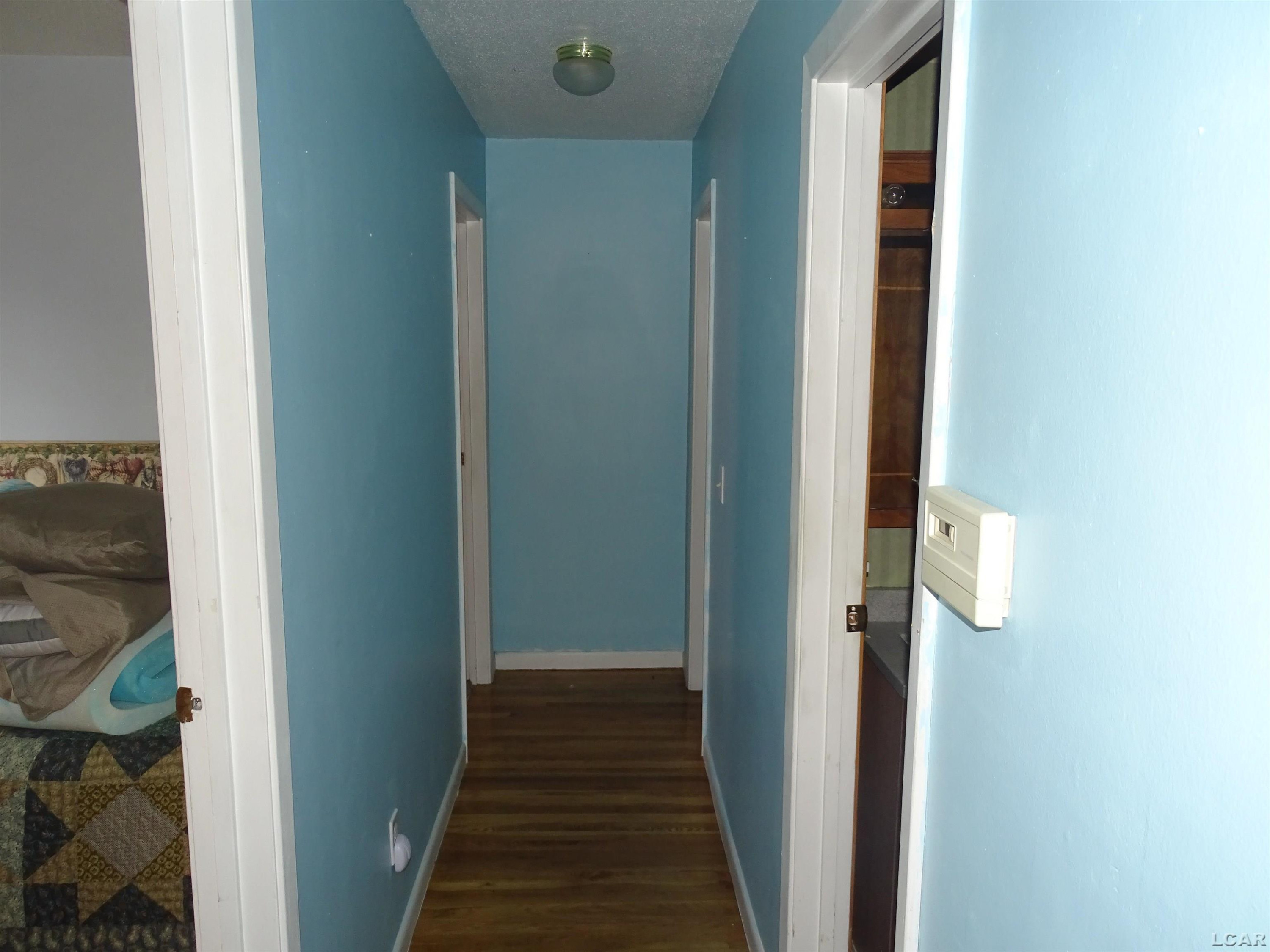 203 Veterans Avenue, Blissfield, MI 49228 — Photo 26