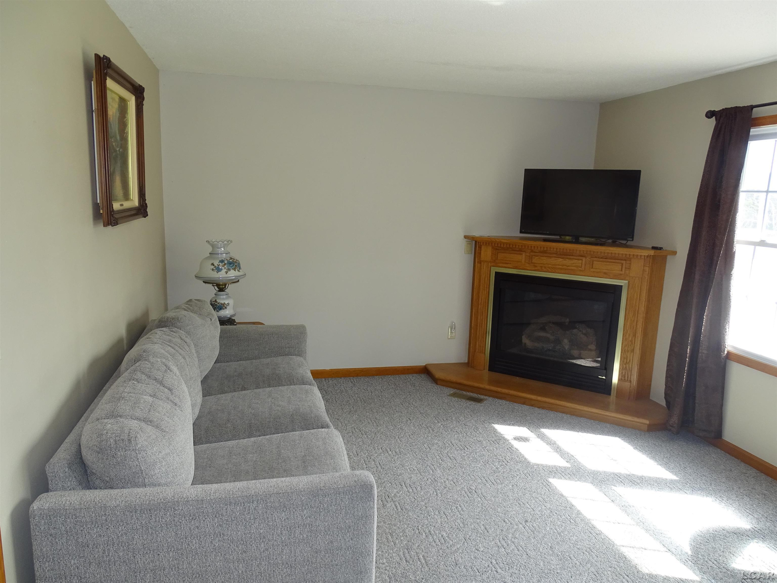 203 Veterans Avenue, Blissfield, MI 49228 — Photo 34