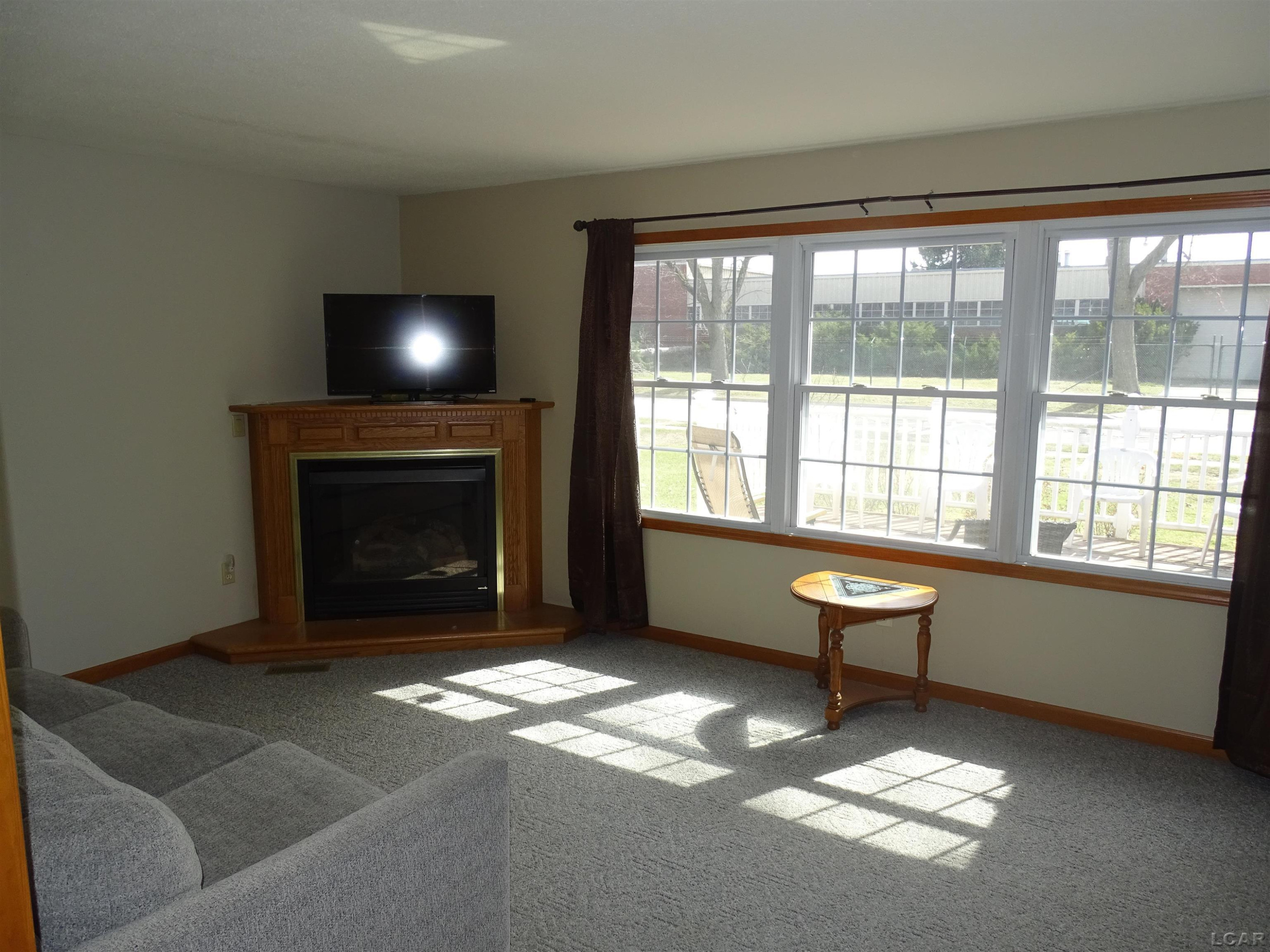 203 Veterans Avenue, Blissfield, MI 49228 — Photo 35