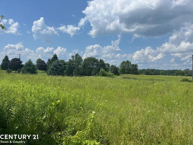 6839 Dryden Road, Almont, MI 48003 — Photo 2
