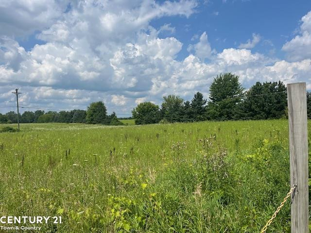 6839 Dryden Road, Almont, MI 48003 — Photo 3