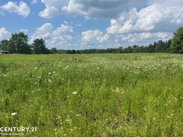 6839 Dryden Road, Almont, MI 48003 — Photo 4
