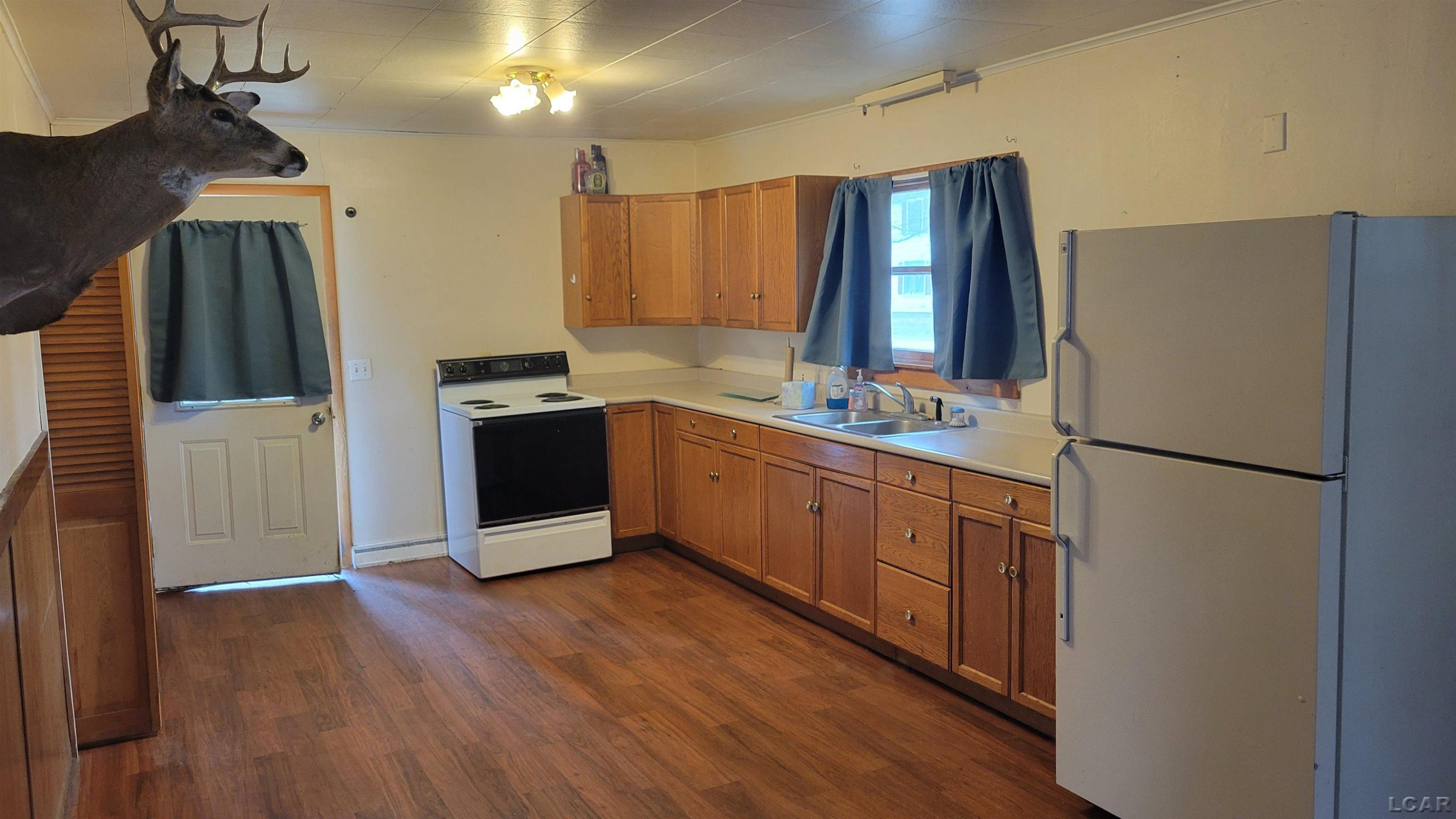 101 E Chestnut Street, Morenci, MI 49256 — Photo 8