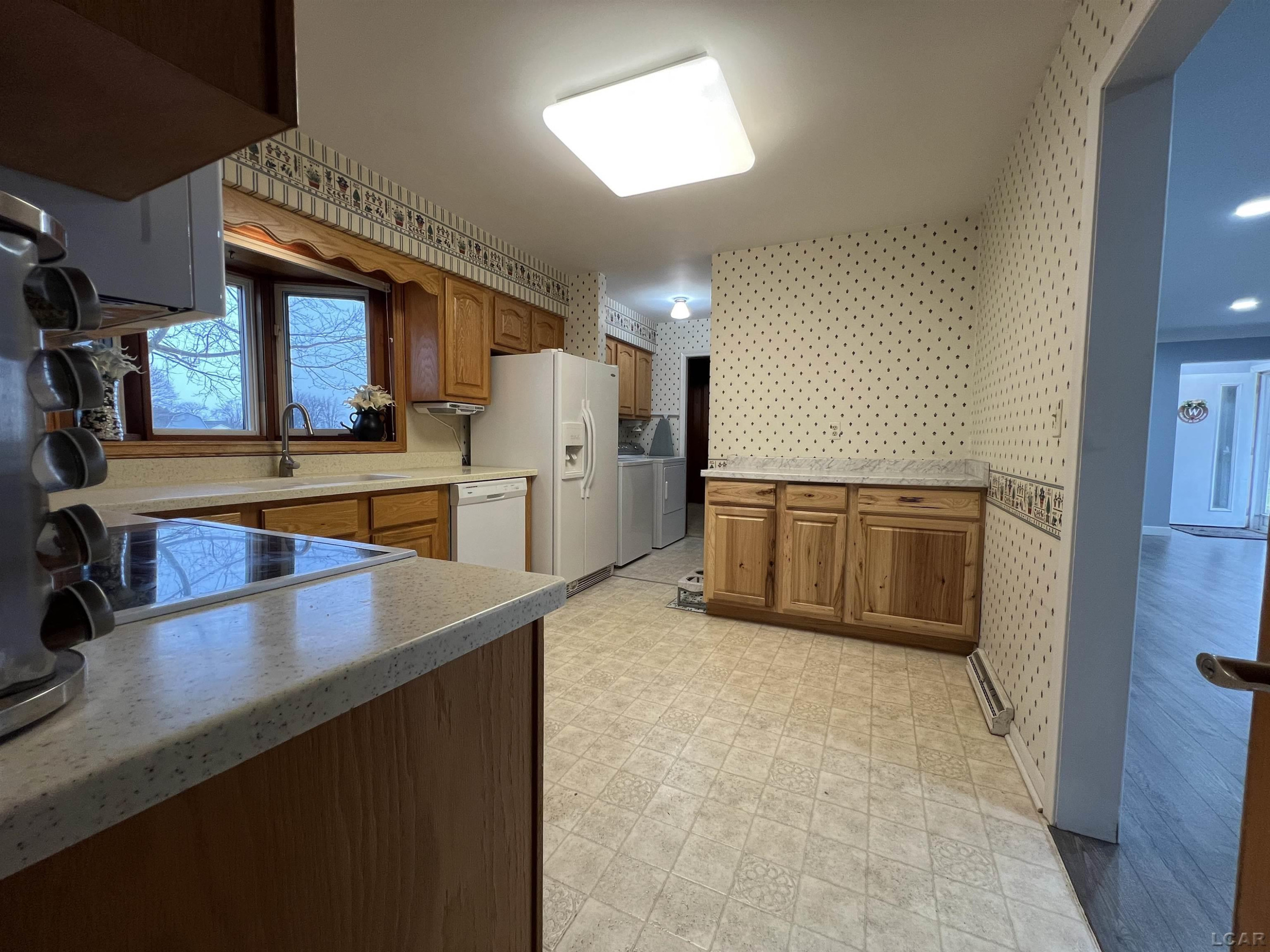 203 N Quick Street, Blissfield, MI 49228 — Photo 5