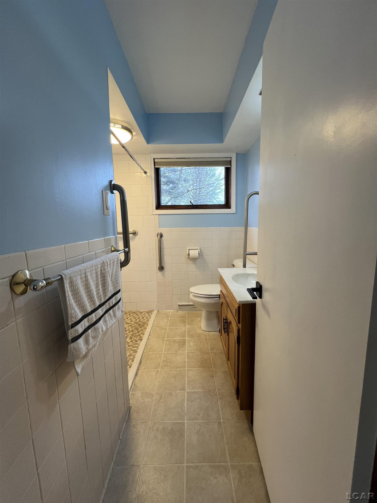 203 N Quick Street, Blissfield, MI 49228 — Photo 16