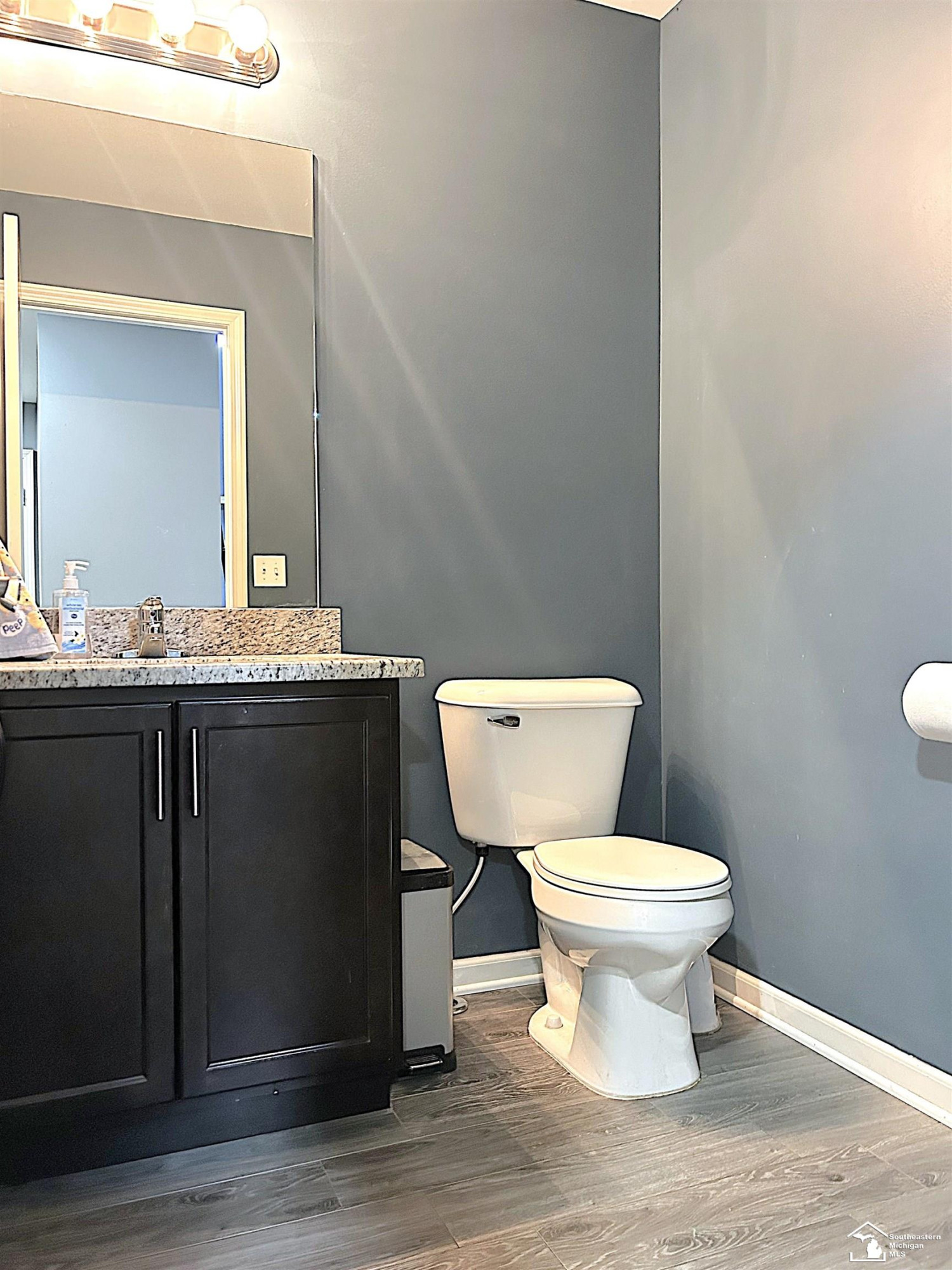700 Davenport Drive, Dundee, MI 48131 — Photo 17